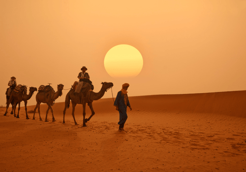 A traveler on a camel ride in a desert in Morocco