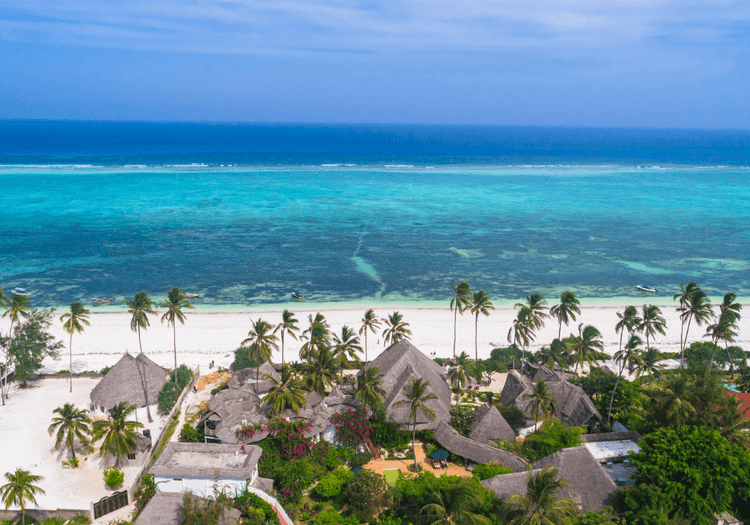 A view of a beach in Zanzibar, Tanzania