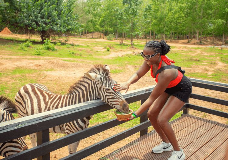 Ancestral Heritage vs Safari Trip to Africa: Two Different Ways to Experience Africa