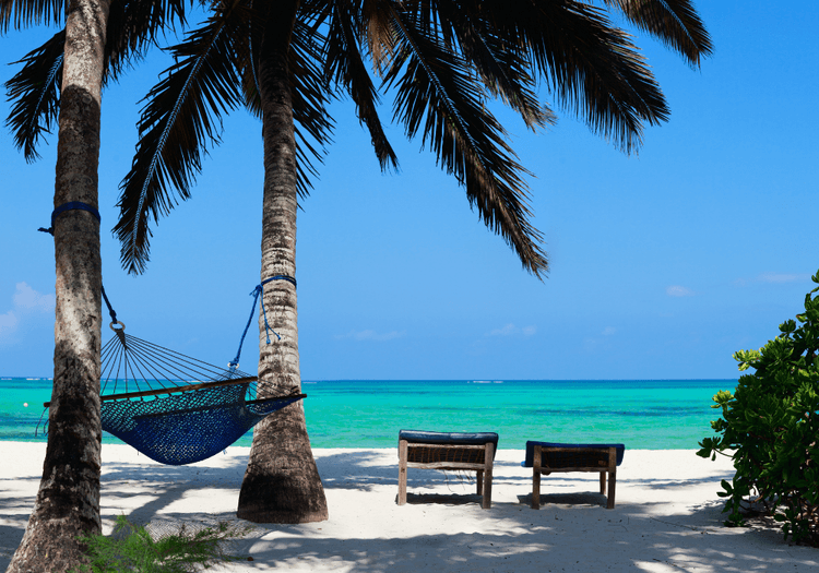 A view of a beach in Zanzibar, Tanzania