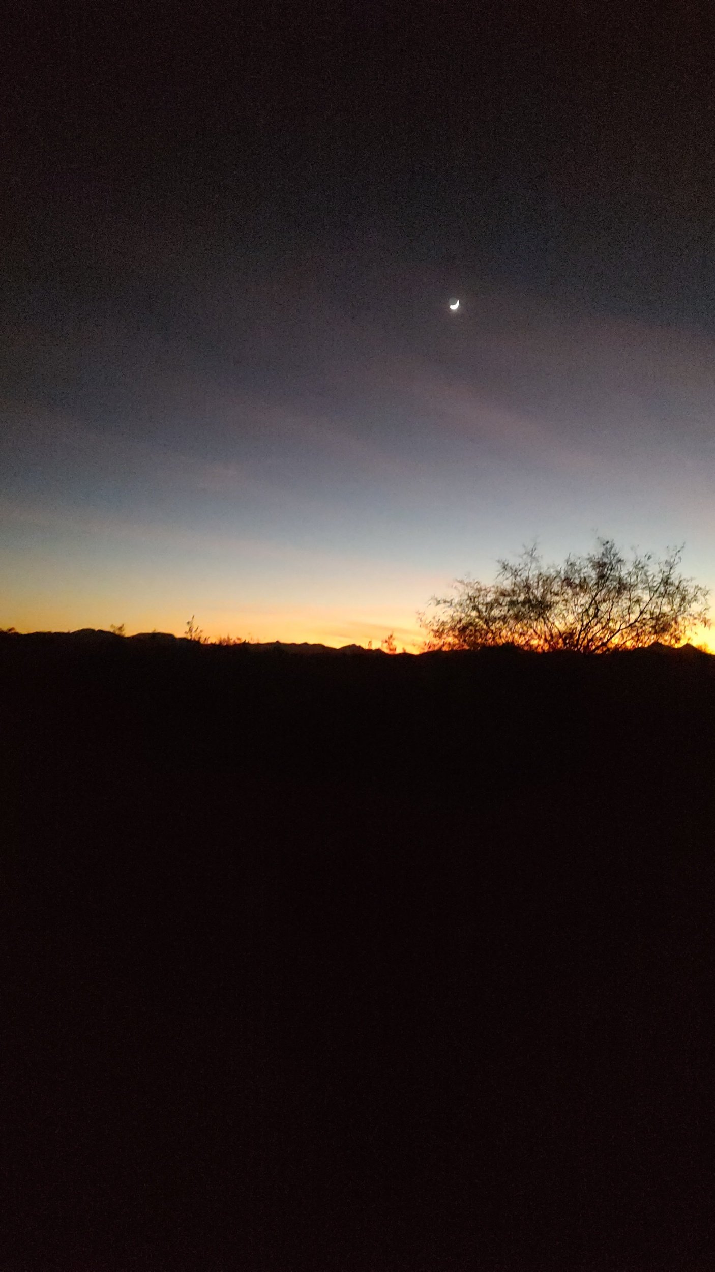 The last rays of a golden sunset peeking over the far mountains. The dark night sky taking over the screen with a crescent moon visible in the middle of the screen. Sunsets in the Sonoran desert near Saguaro National Park.