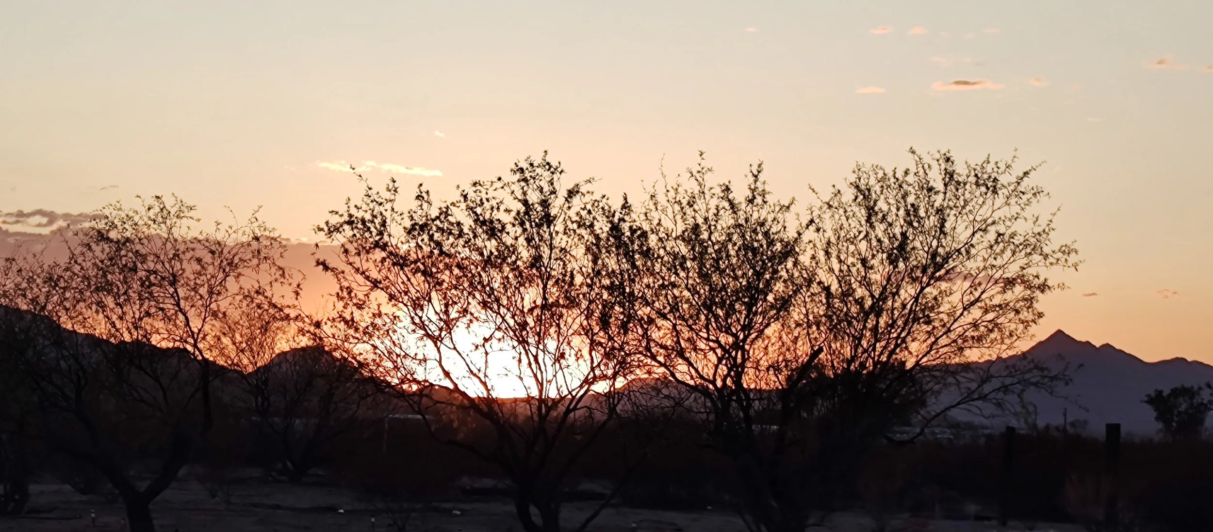 the sun just setting over the mountains. shadowing the mesquite trees. The Tombstone Rose glamping tent can be seen in the right corner. Sunsets in the Sonoran desert near Saguaro National Park.