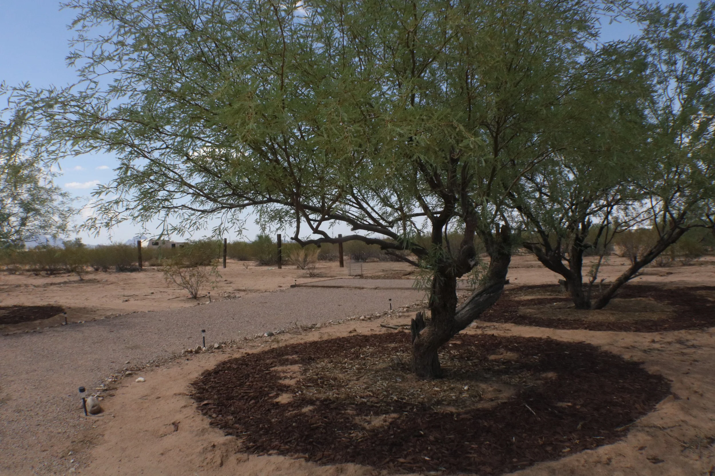 The Gecko, on of three primative camping sites. All the sites have gravel parking and a raised campsite.