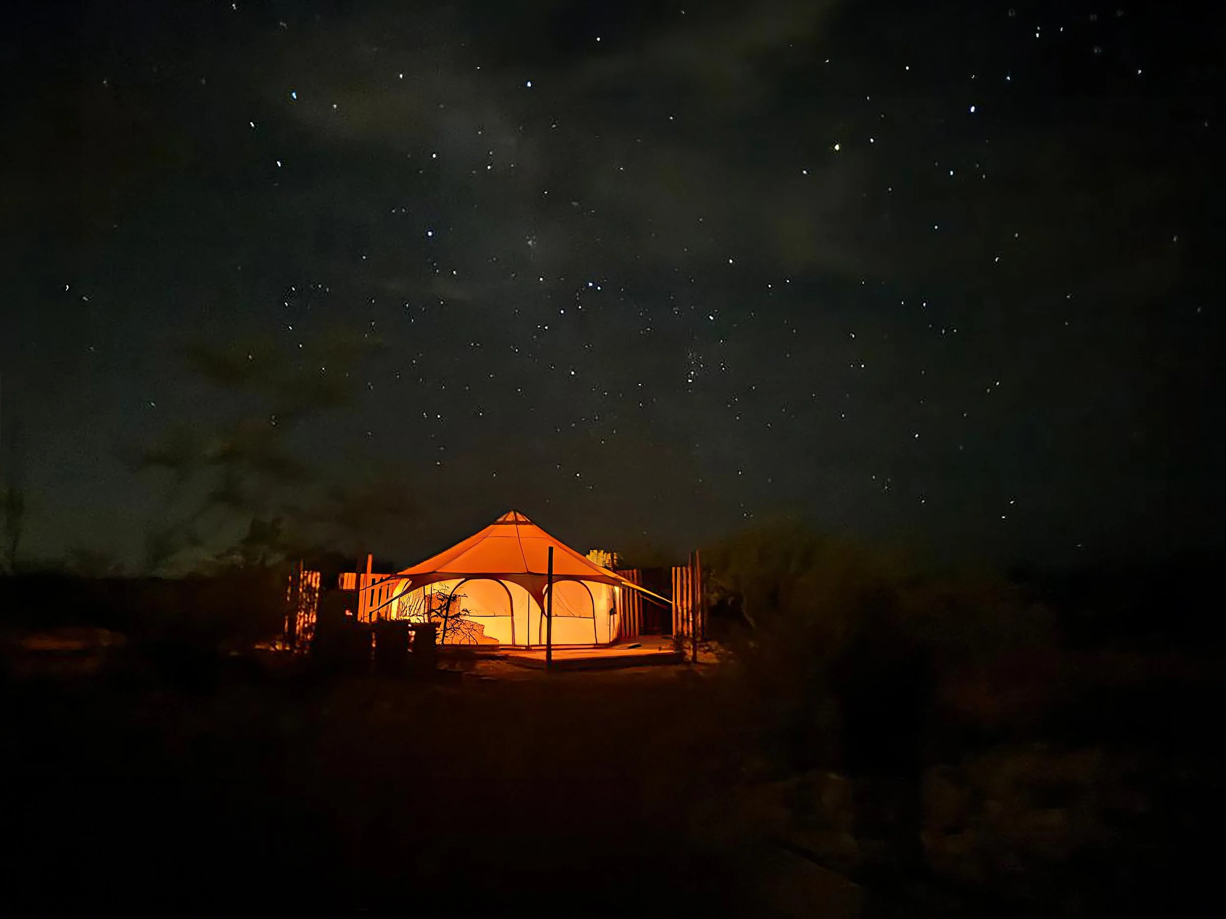 The Tombstone Rose at Mesquite Haven Glowing in the night sky.