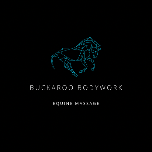 Buckaroo Bodywork