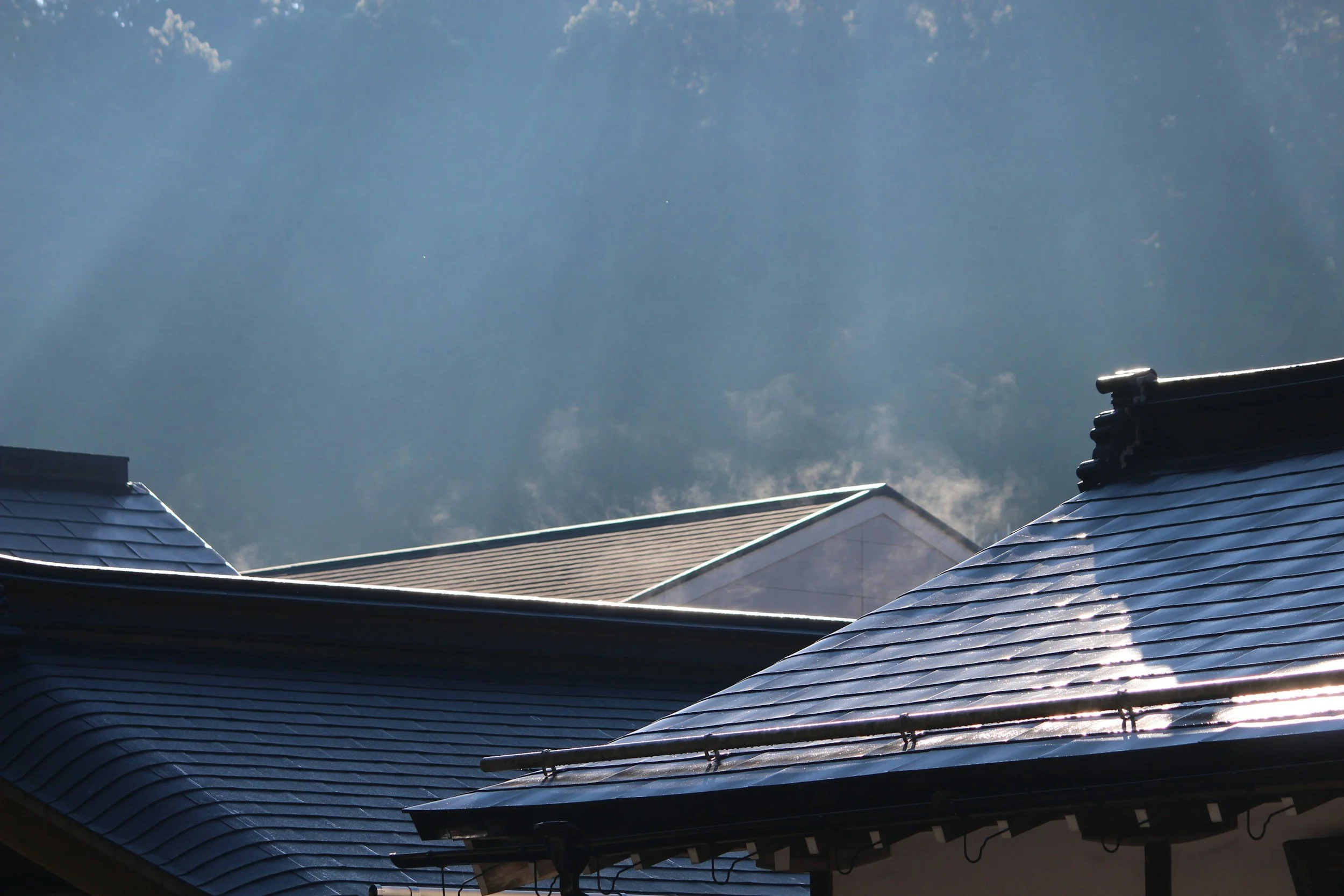 Roof Repair vs. Roof Replacement: Which One Do You Need?
