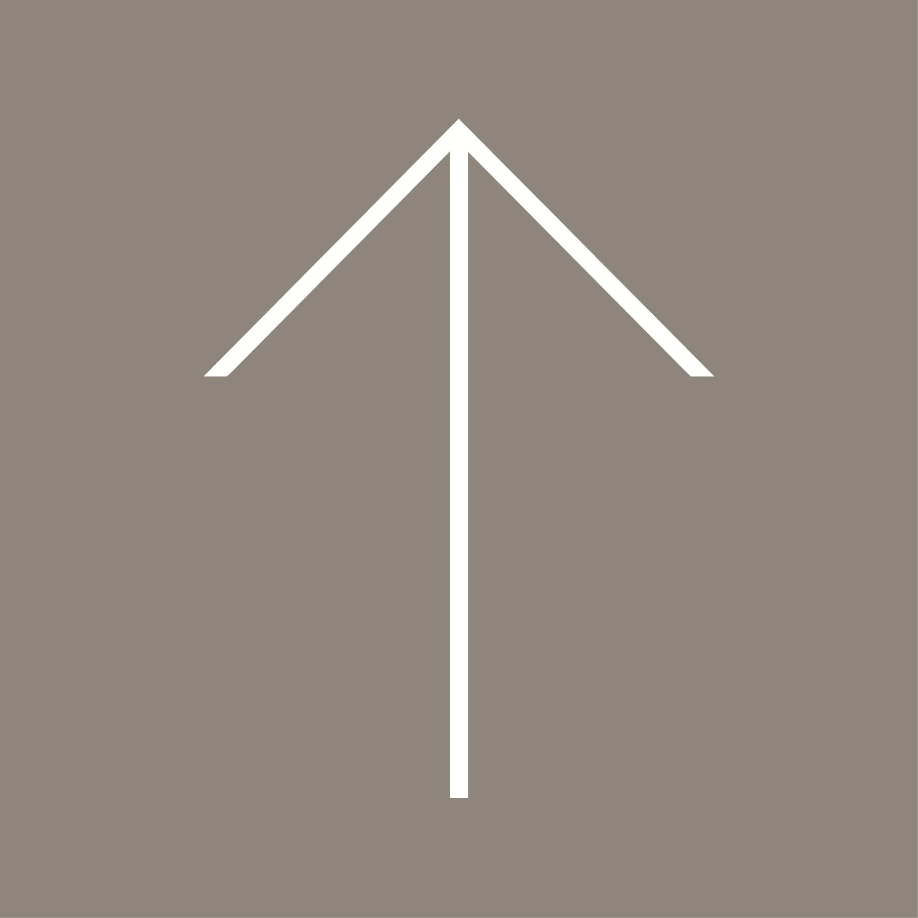Scroll To Top