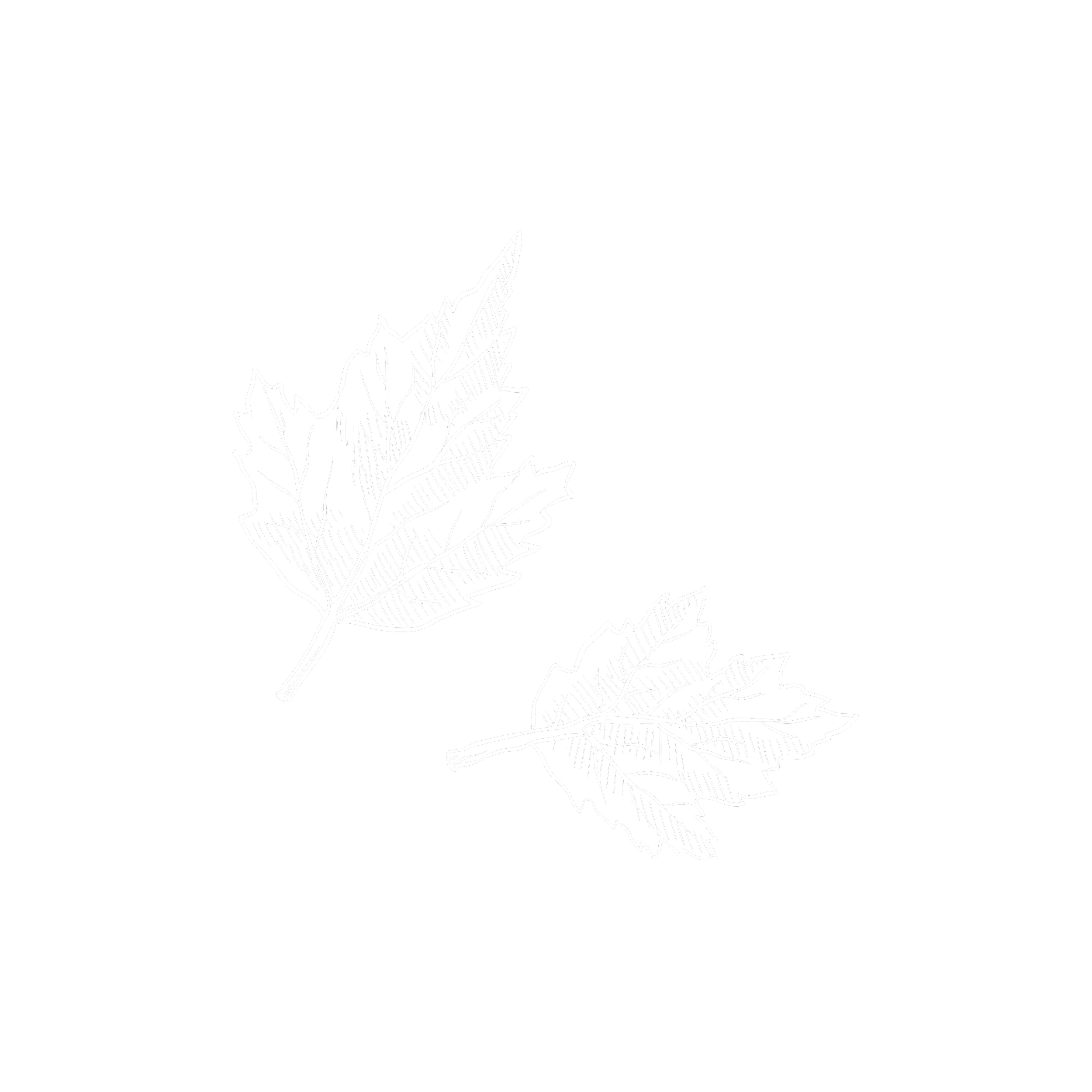 9.png