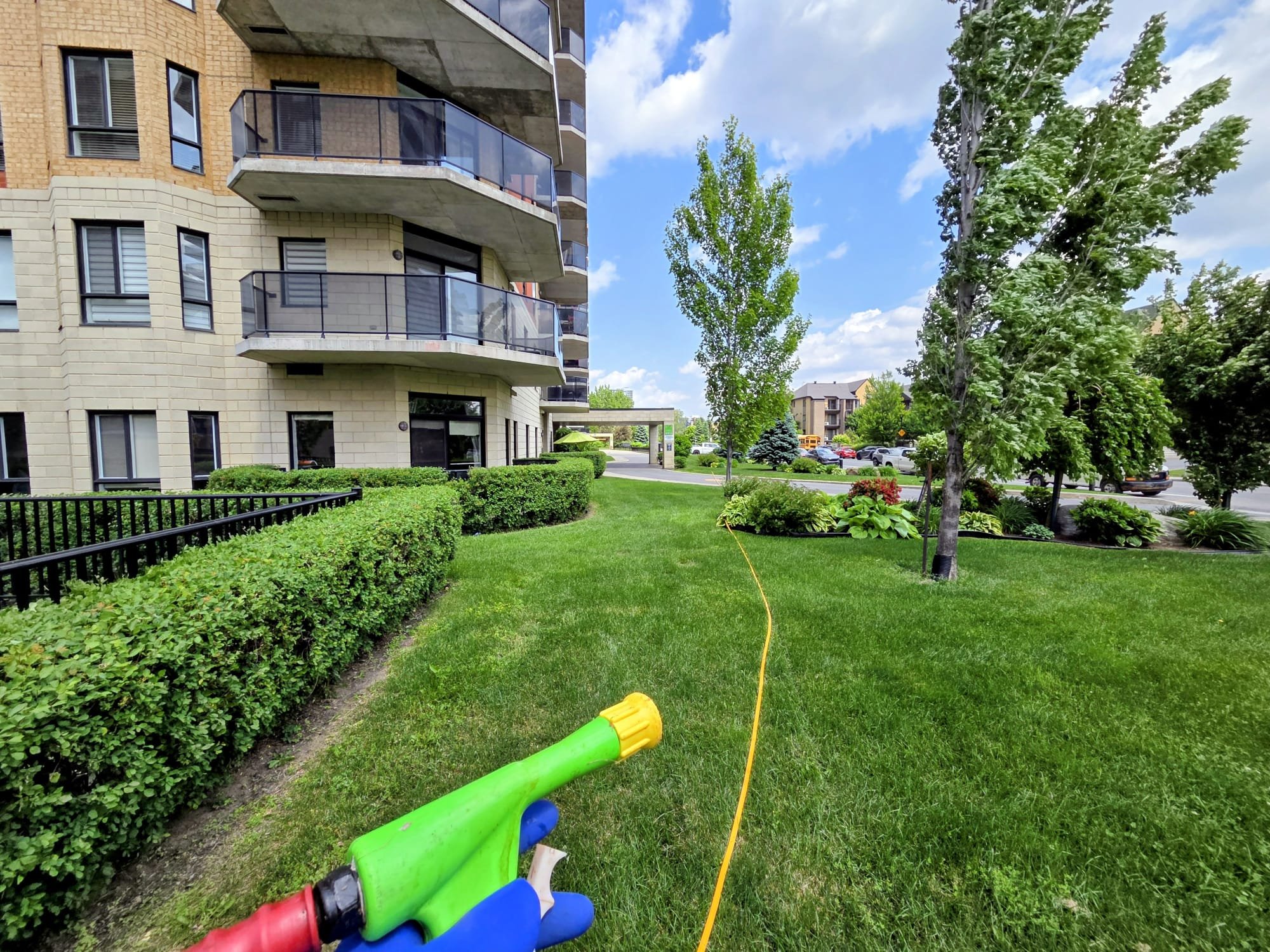 PHOTO-2026-03-10-09-34-28 5.jpg