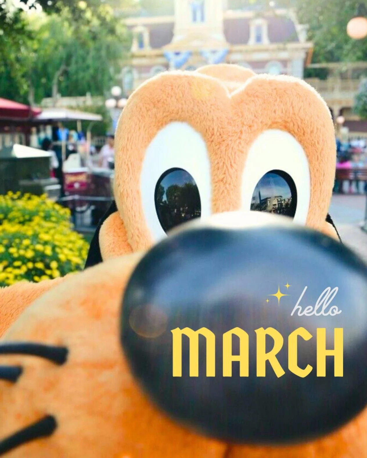 HELLO ✨ MARCH 🫢 &bull;
While our original plans for this month have *slightly* changed; it&rsquo;s only because we thought of something better to introduce to the shop. 🤭&bull;
May this month bring sunshine and happiness, a rejuvenation of spring a