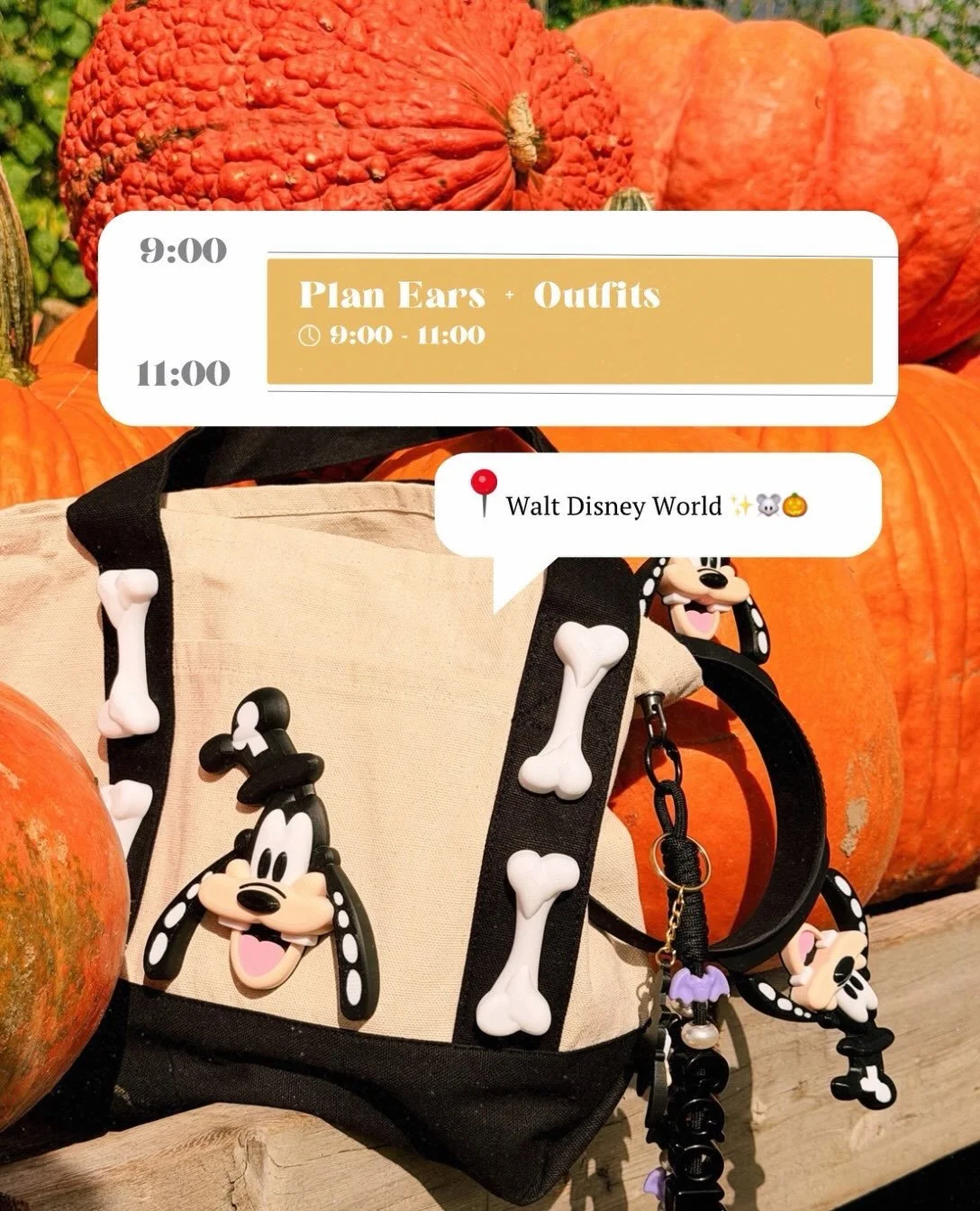 👀 A lil sneak peek at some outfit accessories I&rsquo;ve been planning for our WDW trip in 6 days! ✨🎃🐭 this whole week I&rsquo;m diving into what we pack for a trip to the parks! From cameras to bags, accessories to how we pack- we&rsquo;re showin