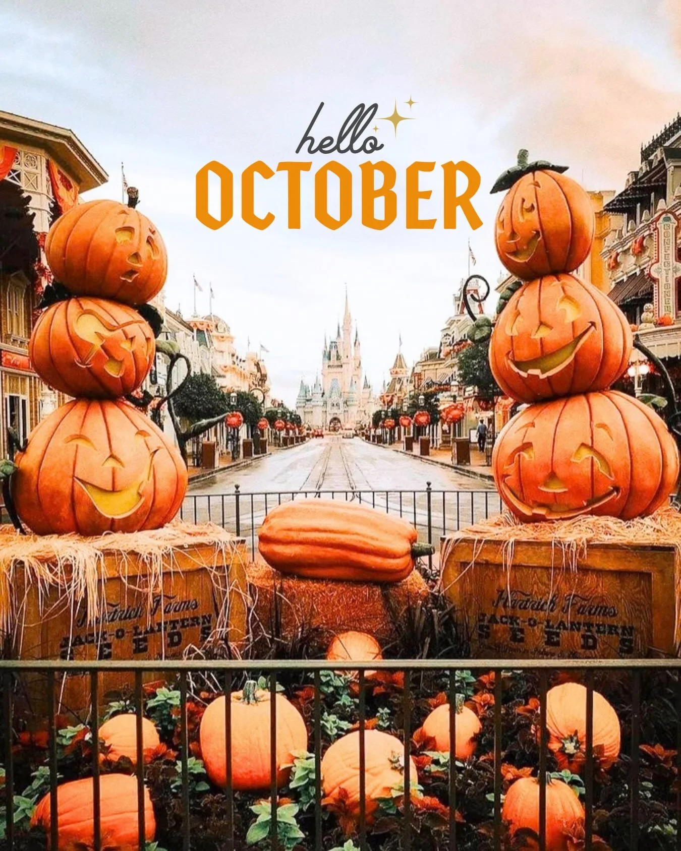 HELLO 🎃CTOBER. ✨ Cannot believe we are lucky enough to live in a world where October&rsquo;s exist and a place as magical as this celebrates 55 YEARS of pure joy and whimsy. Happy birthday Magic kingdom! ✨🐭🎃 &bull;
&bull;
&bull;
#magickingdom #hap
