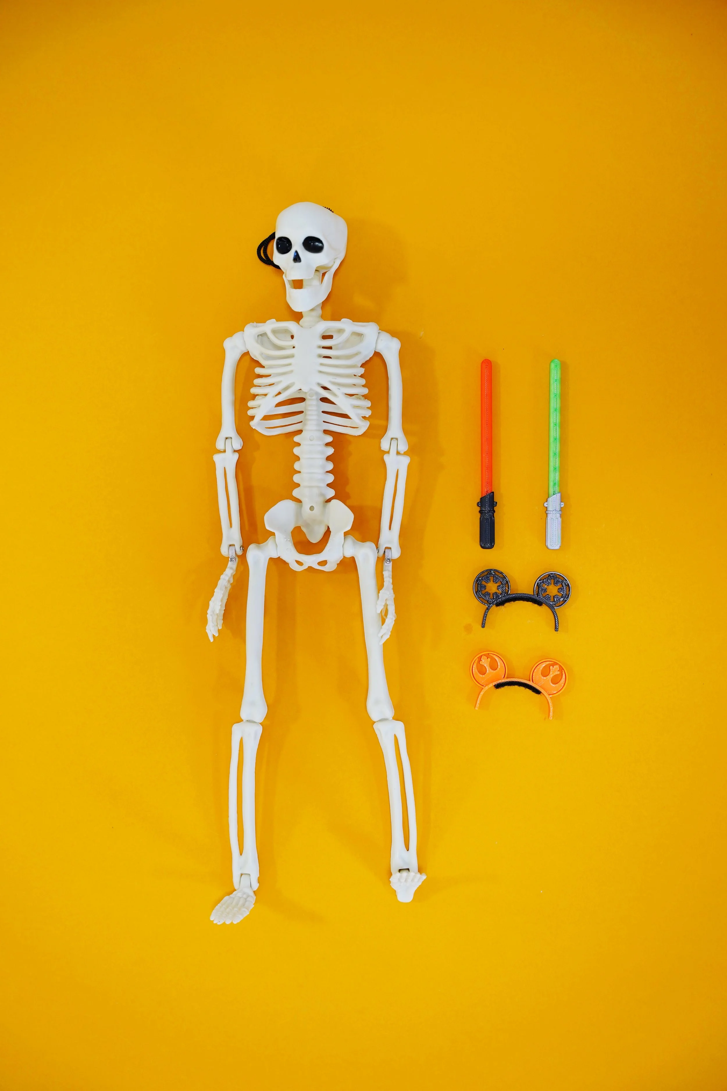 Skelly on the Shelly Galactic Accessory Pack