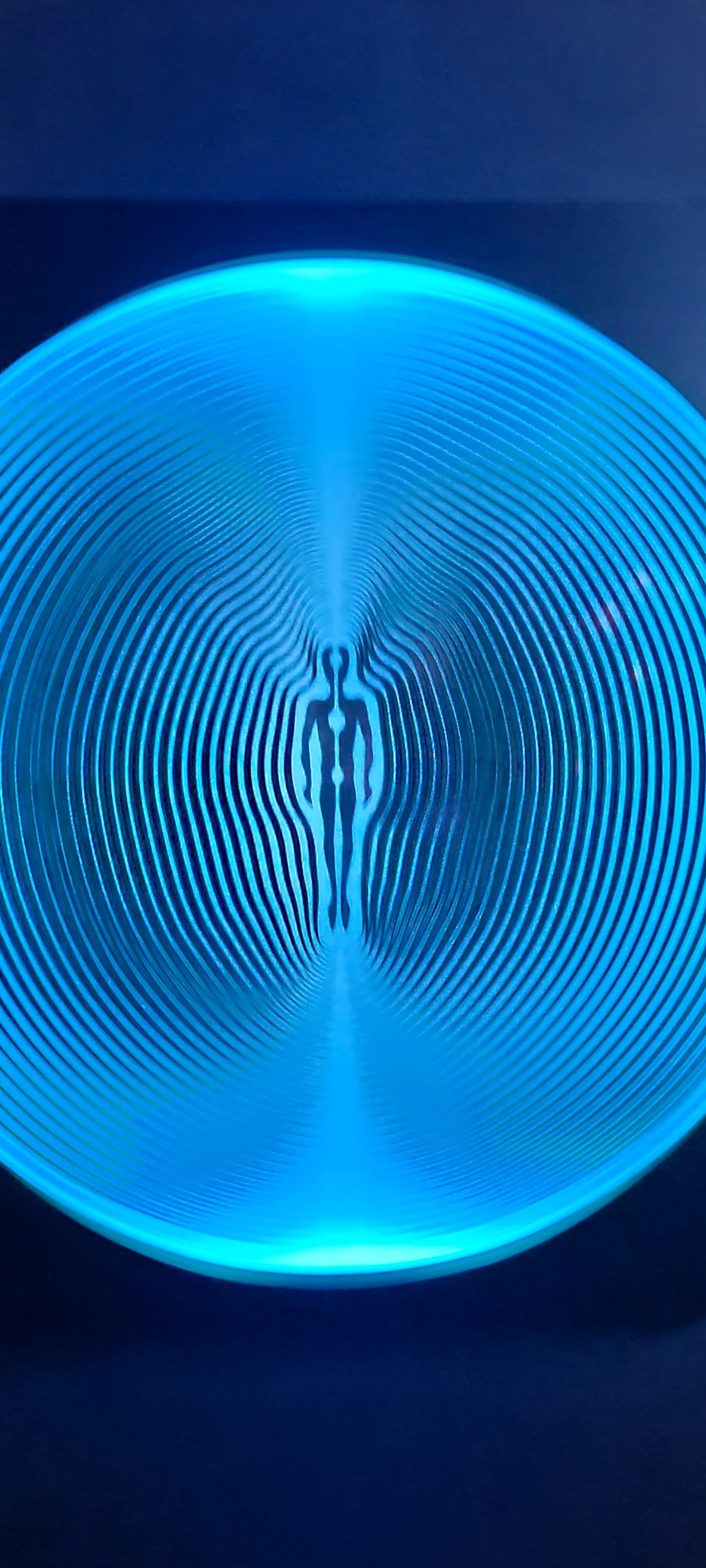 20260402_110431.jpg