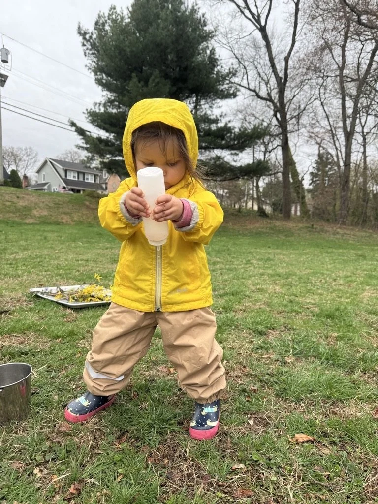 Fall Wondertree & Me: Cherry Hill Friday