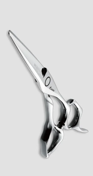 Acro Type-K — Mizutani Alliance