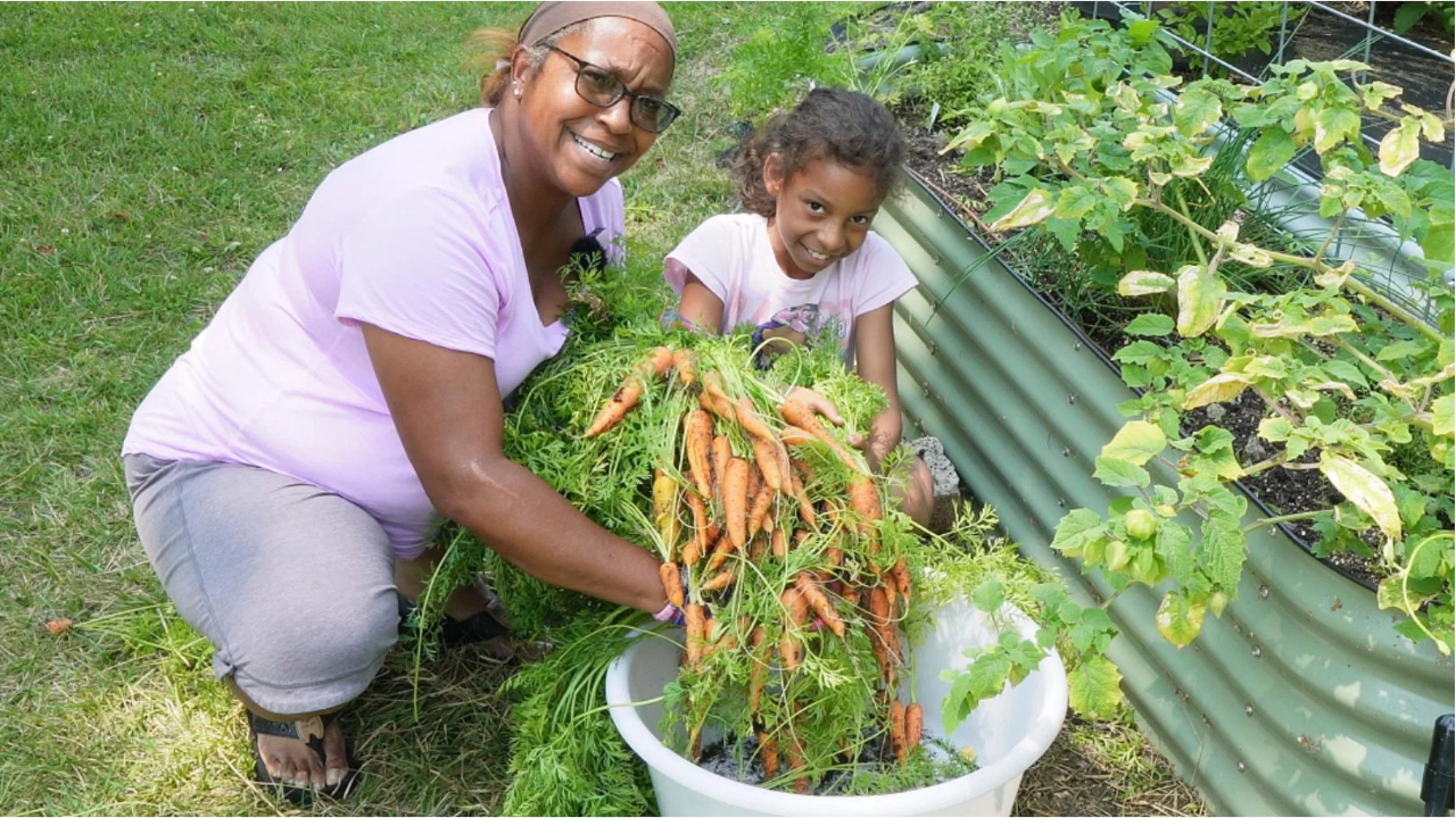 2 day harvest new 080424-Cover.jpg