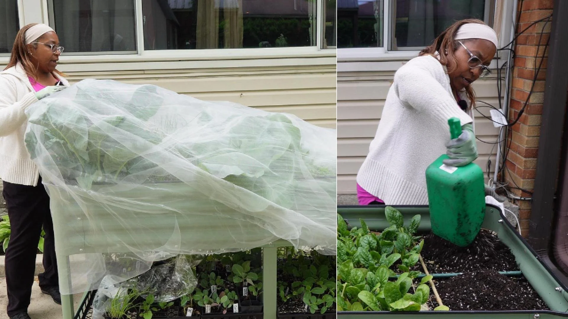 insect netting and session planting052125-Cover.jpg