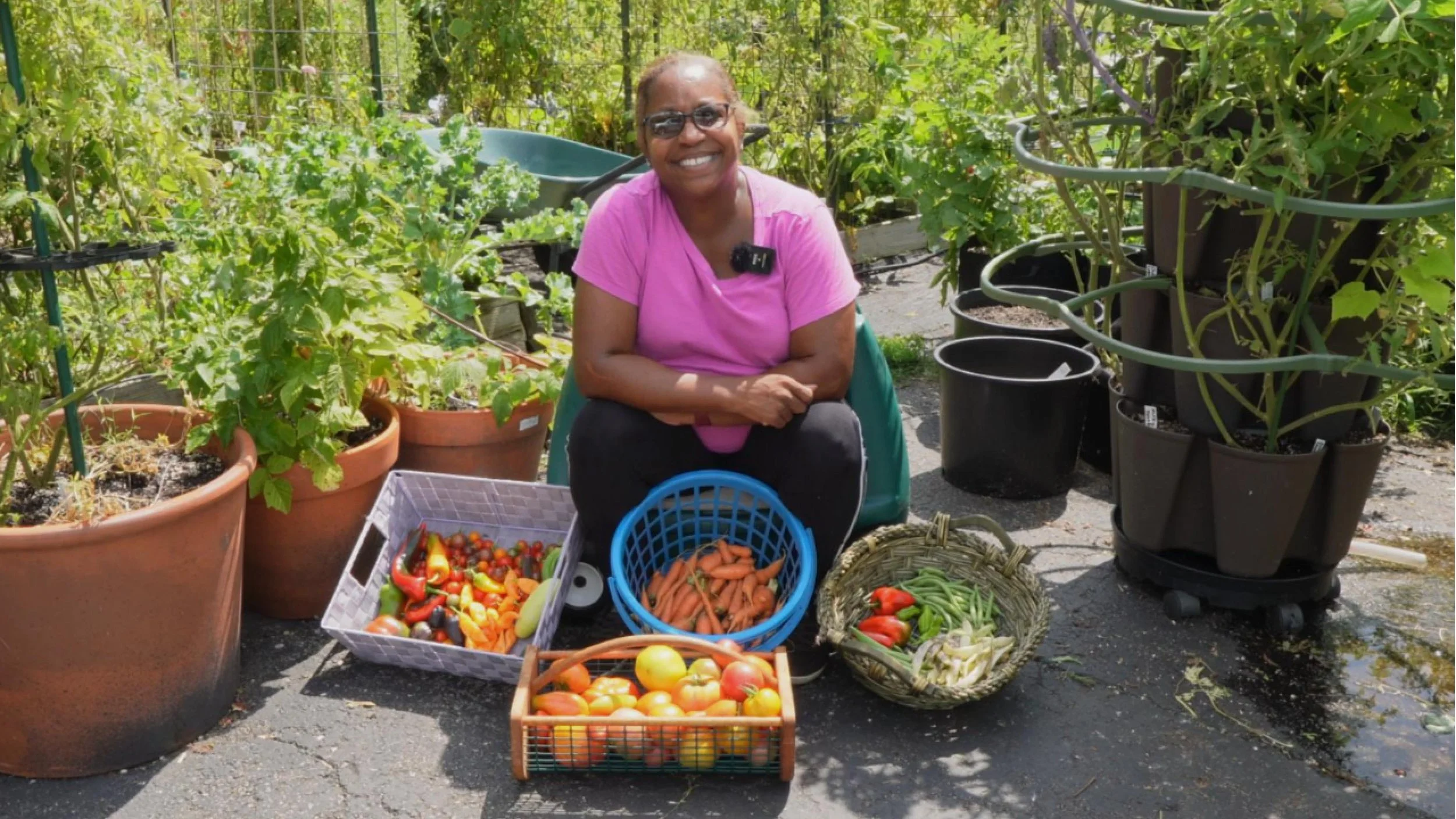 Fall Prep Harvest 083024-Cover.jpg