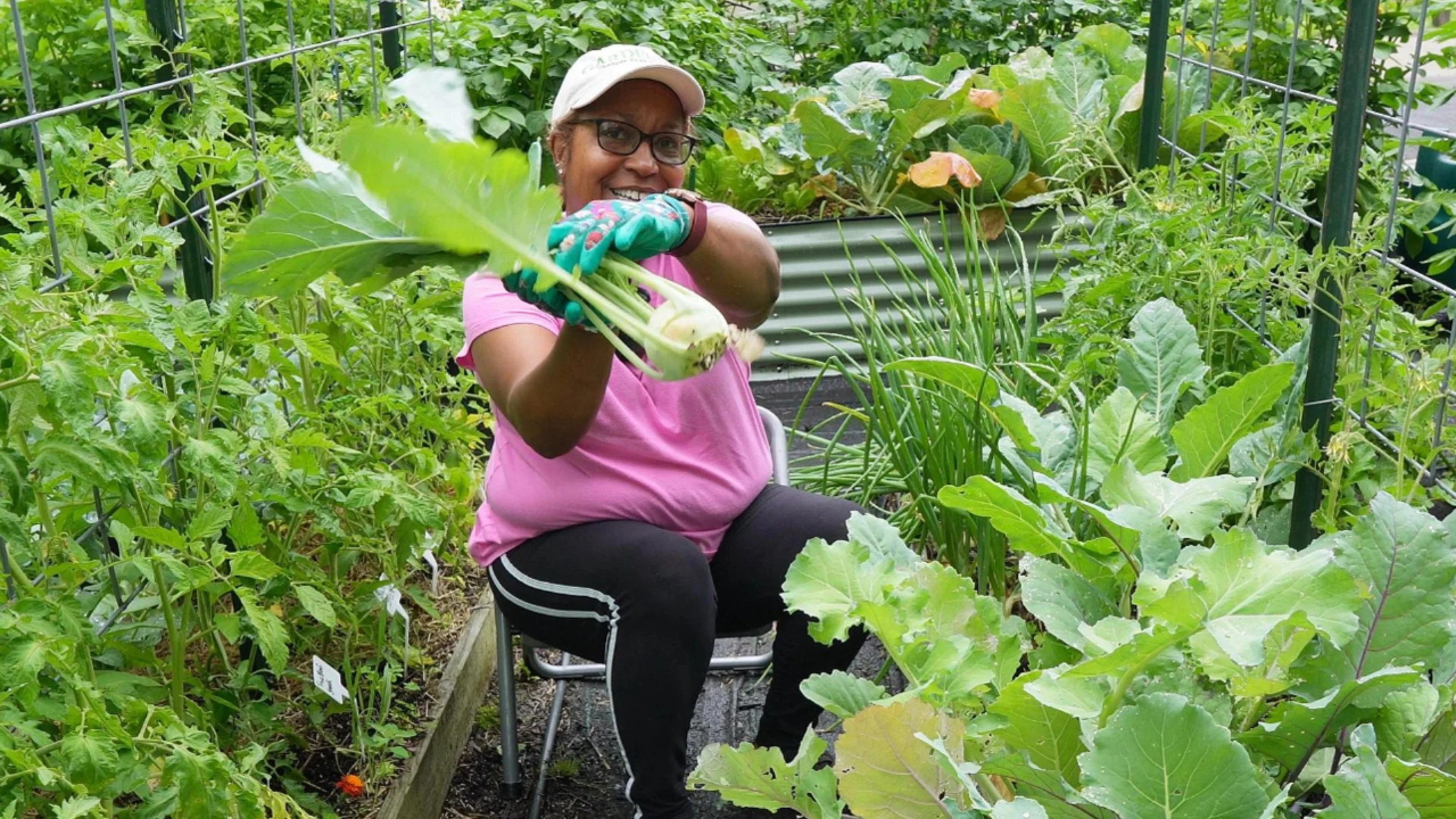 Pt 1 Rainy Day Harvest060424-Cover.jpg