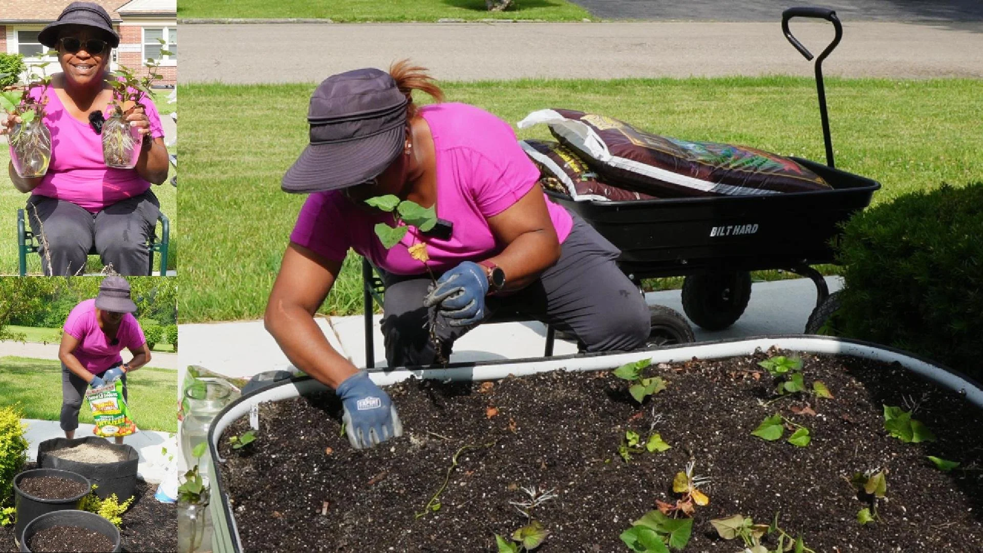 Planting Sweet Potatoes 060825-Cover.jpg