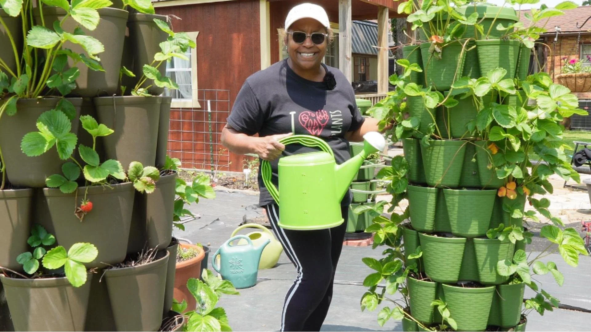 Fertilizing 060325-Cover.jpg