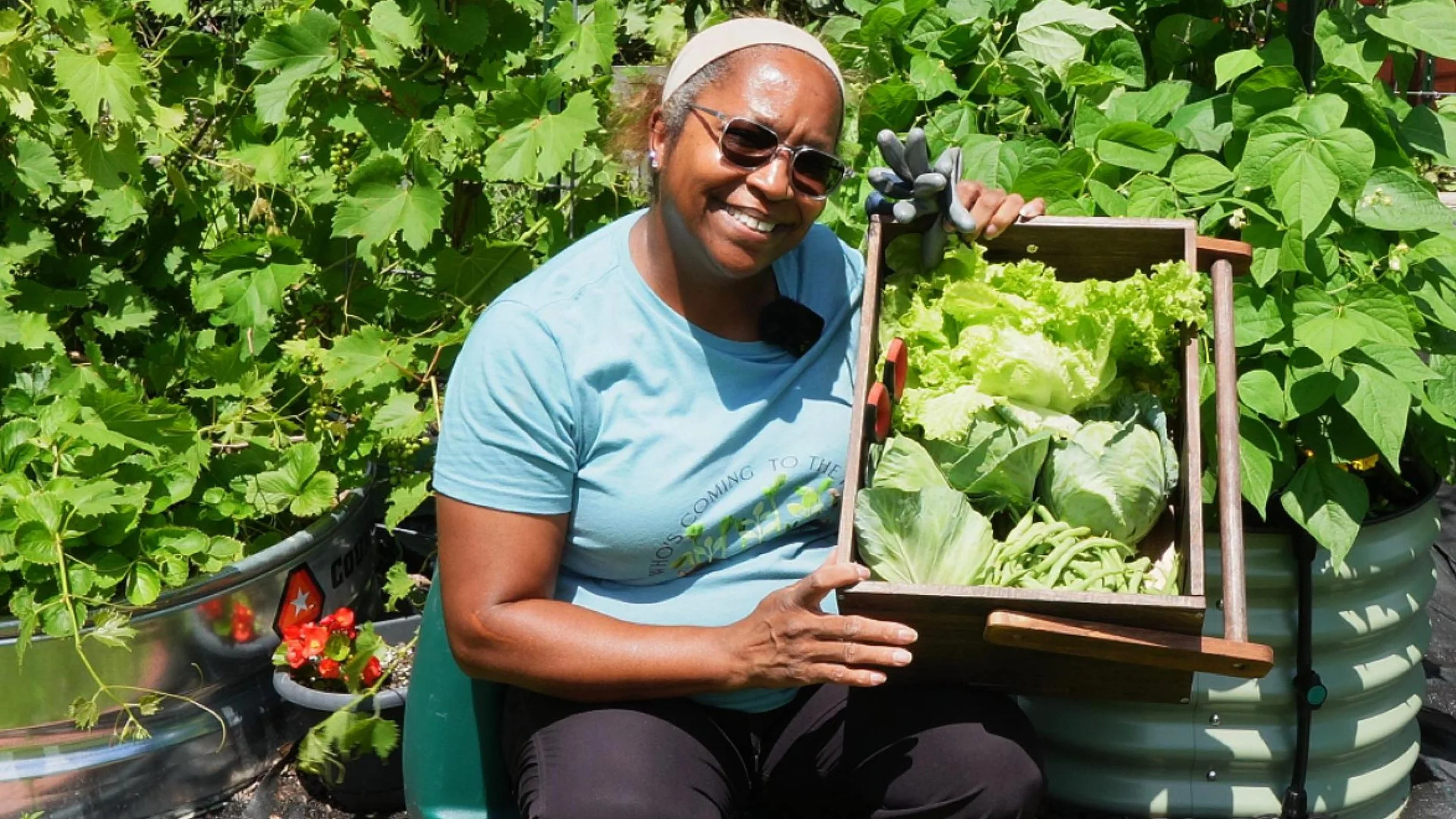 Cabbage and Beans 062025-Cover.jpg