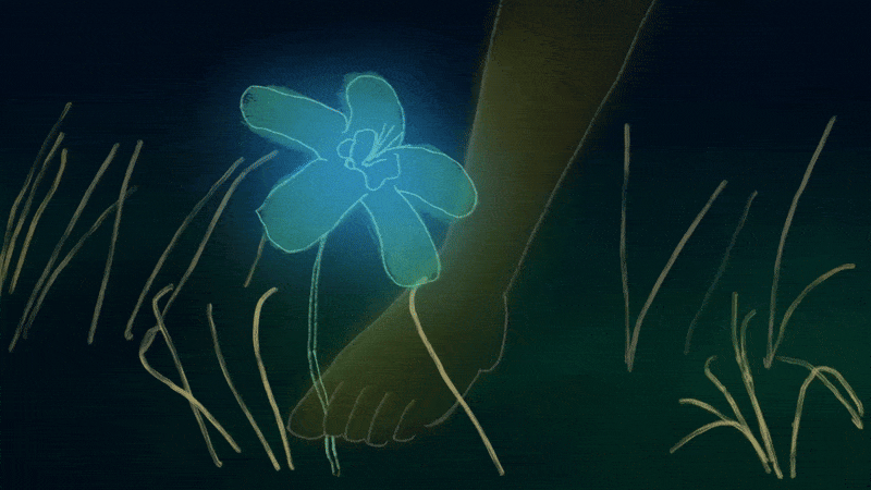 sometimes the wind blows