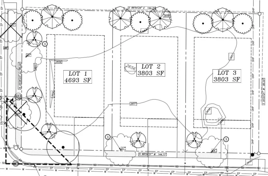 Tail Wing Subdivision