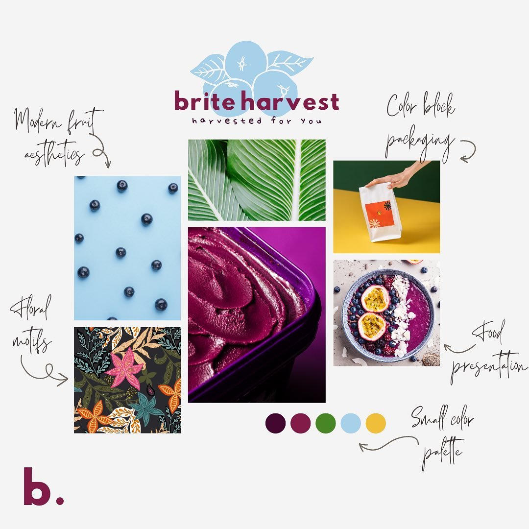 Brite Harvest 🫐 A&ccedil;a&iacute; producer, manufacturer, and distributor. Harvest for you straight from the Amazonian rainforest 🌴 #brandbrief #acai #brandbriefbriteharvest