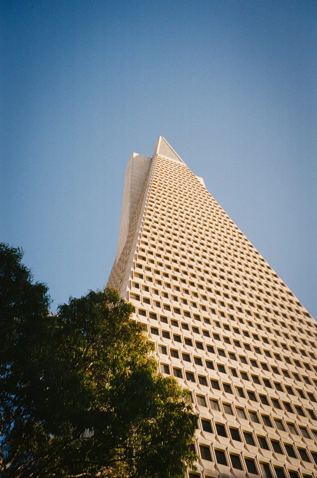 108765_SHU_006_07.jpg