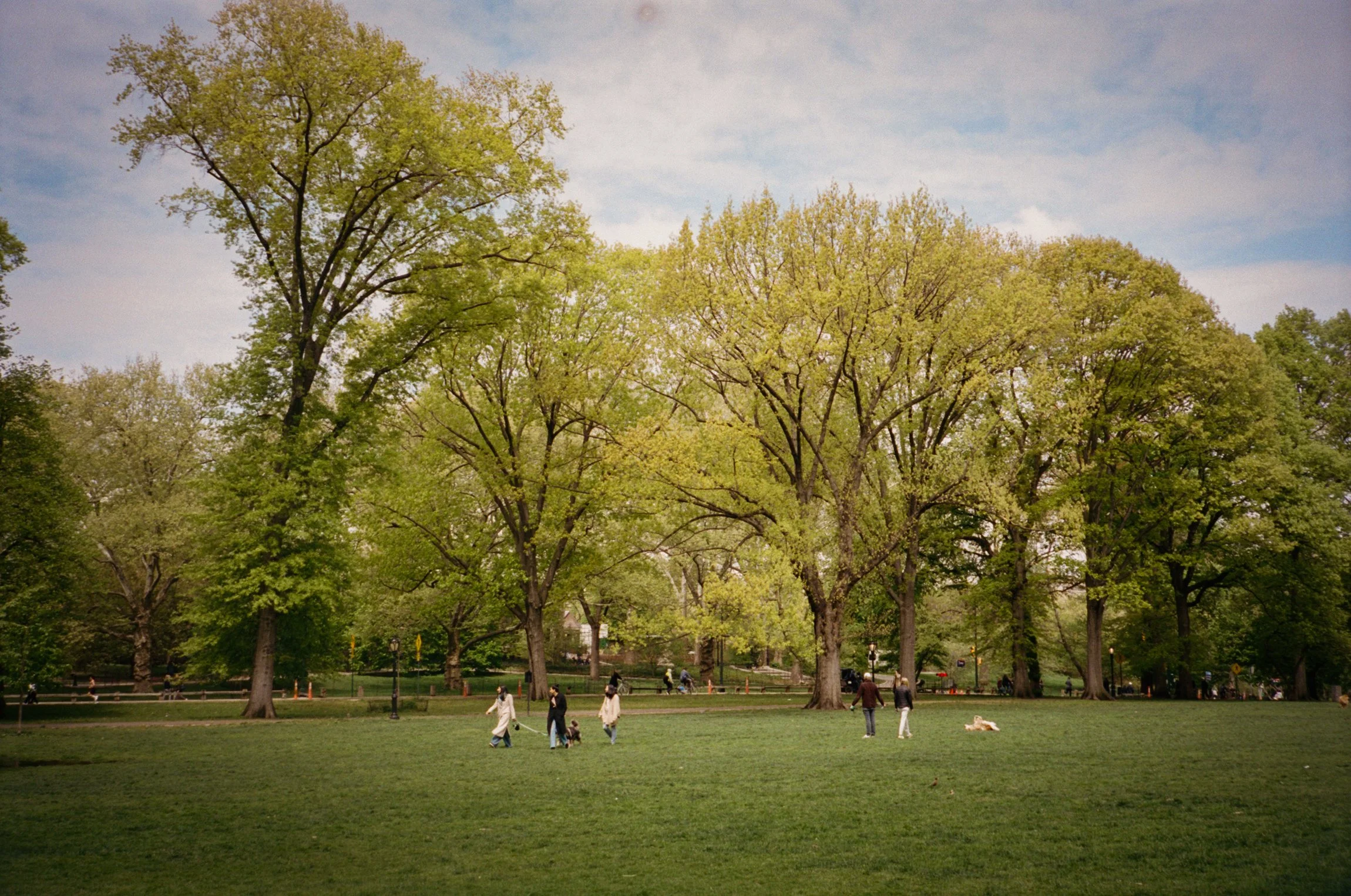 102297_SHU_003_17.jpg