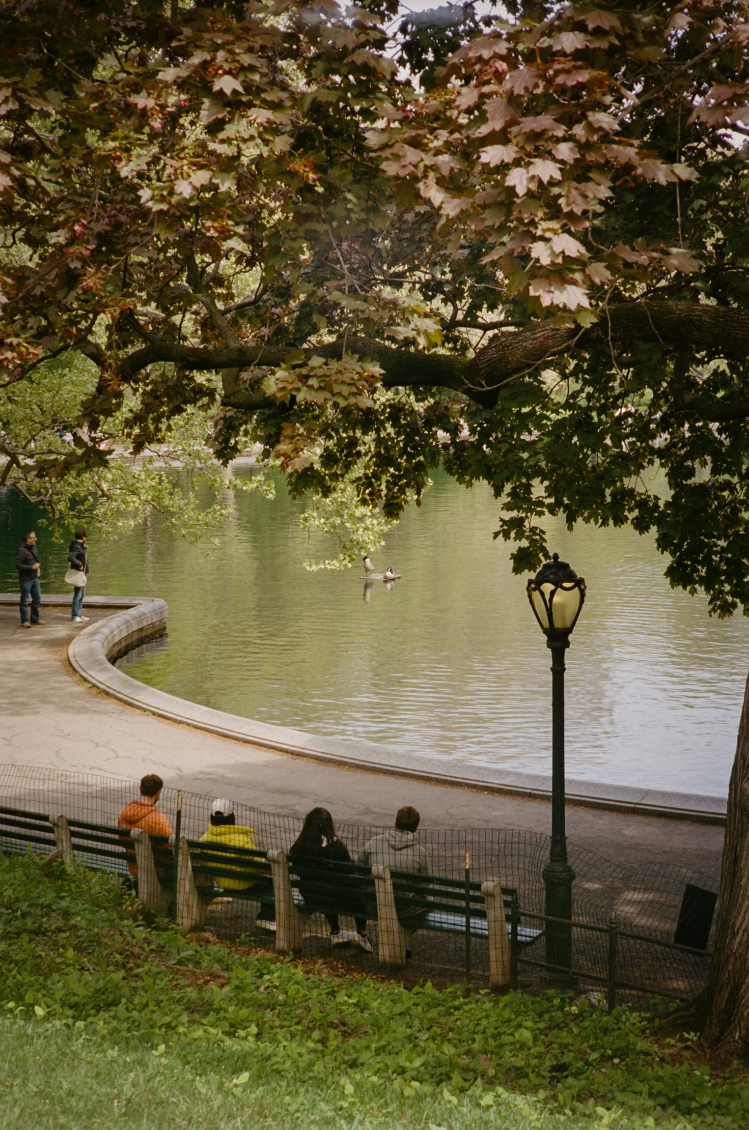 102297_SHU_003_20.jpg