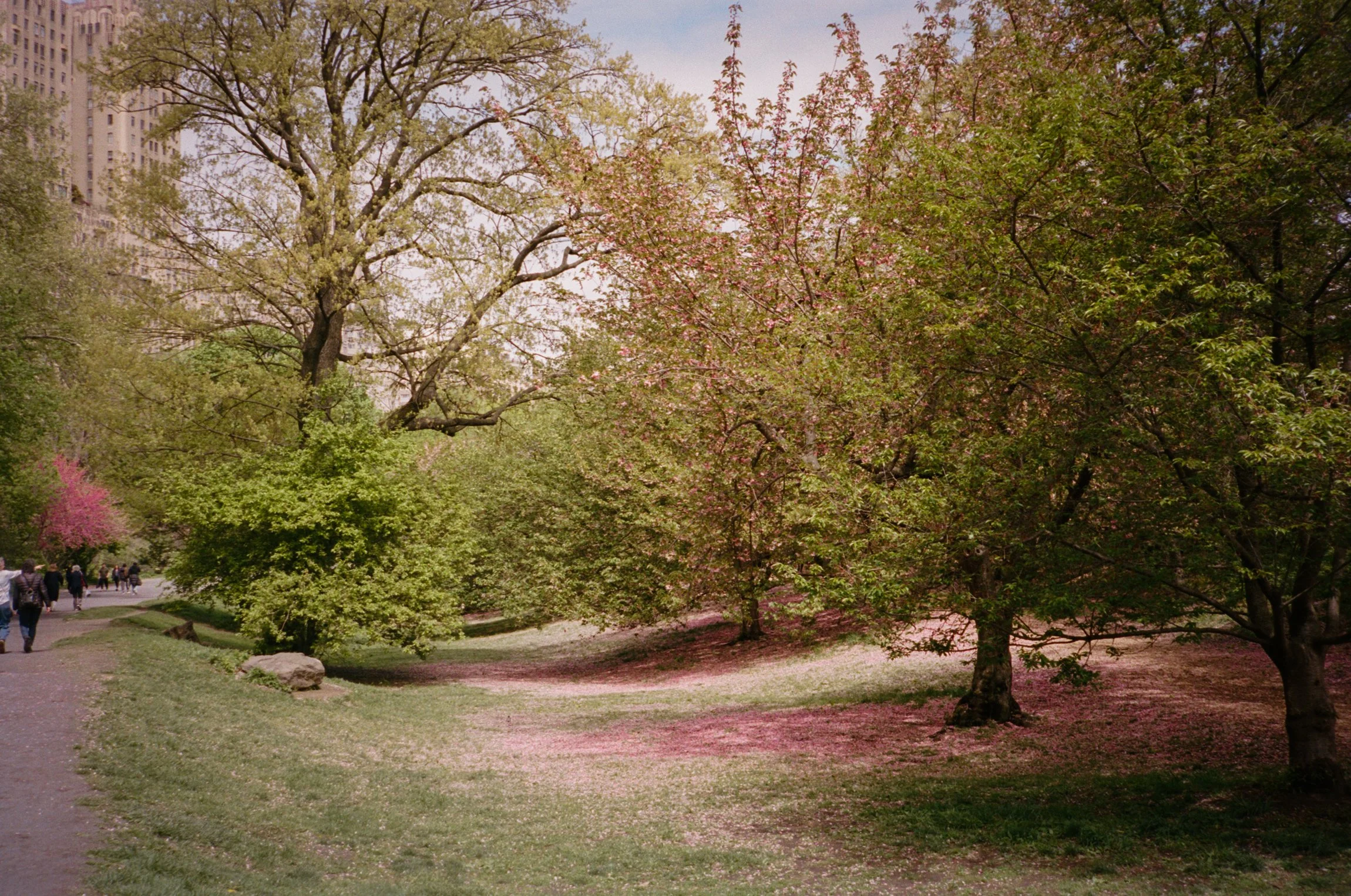102297_SHU_003_24.jpg