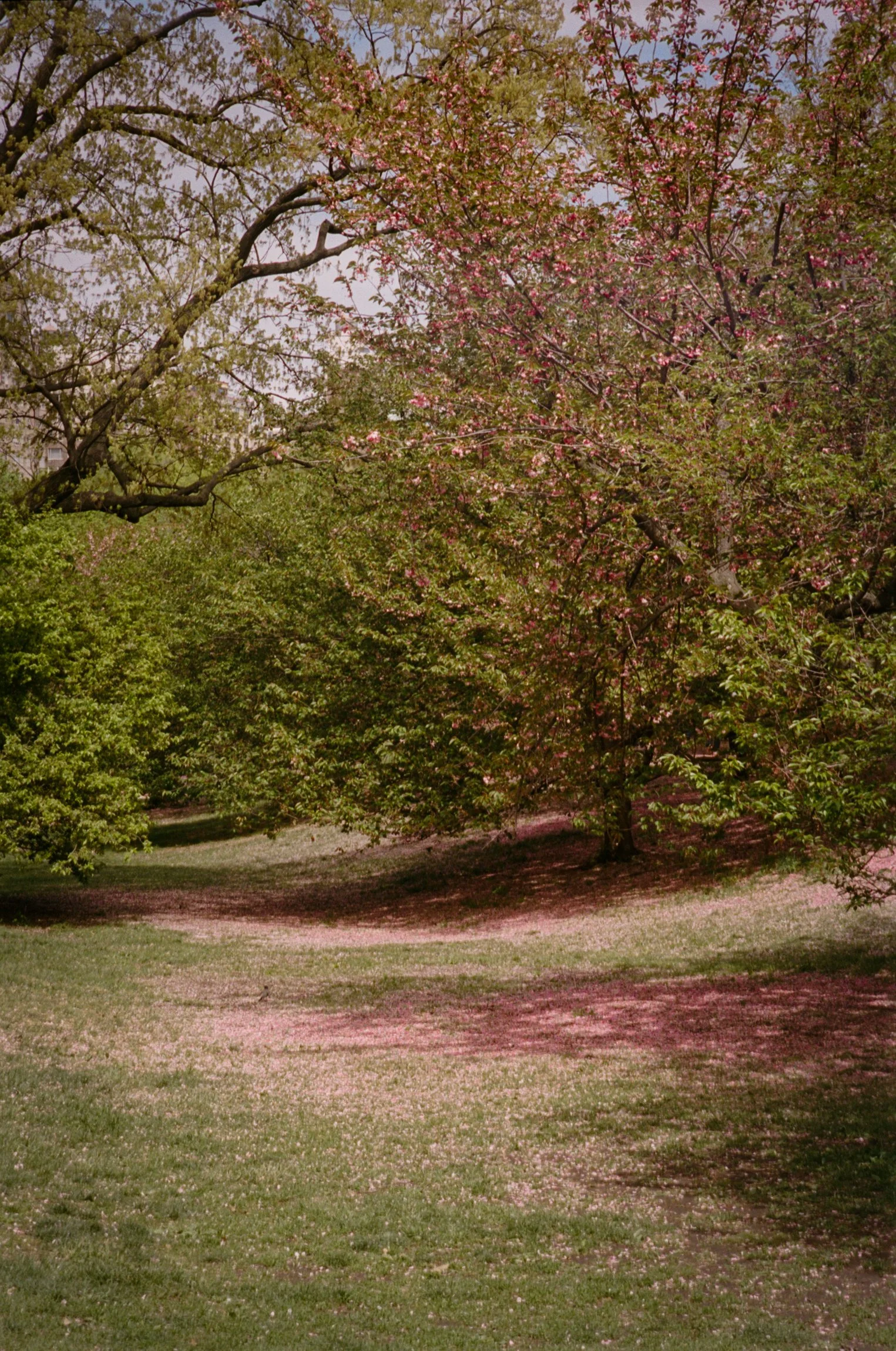 102297_SHU_003_23.jpg