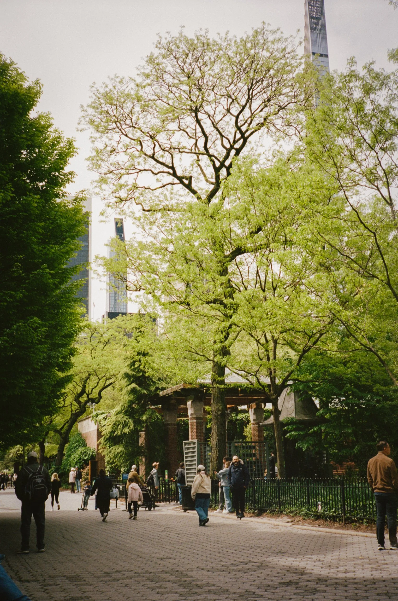 102297_SHU_003_11.jpg