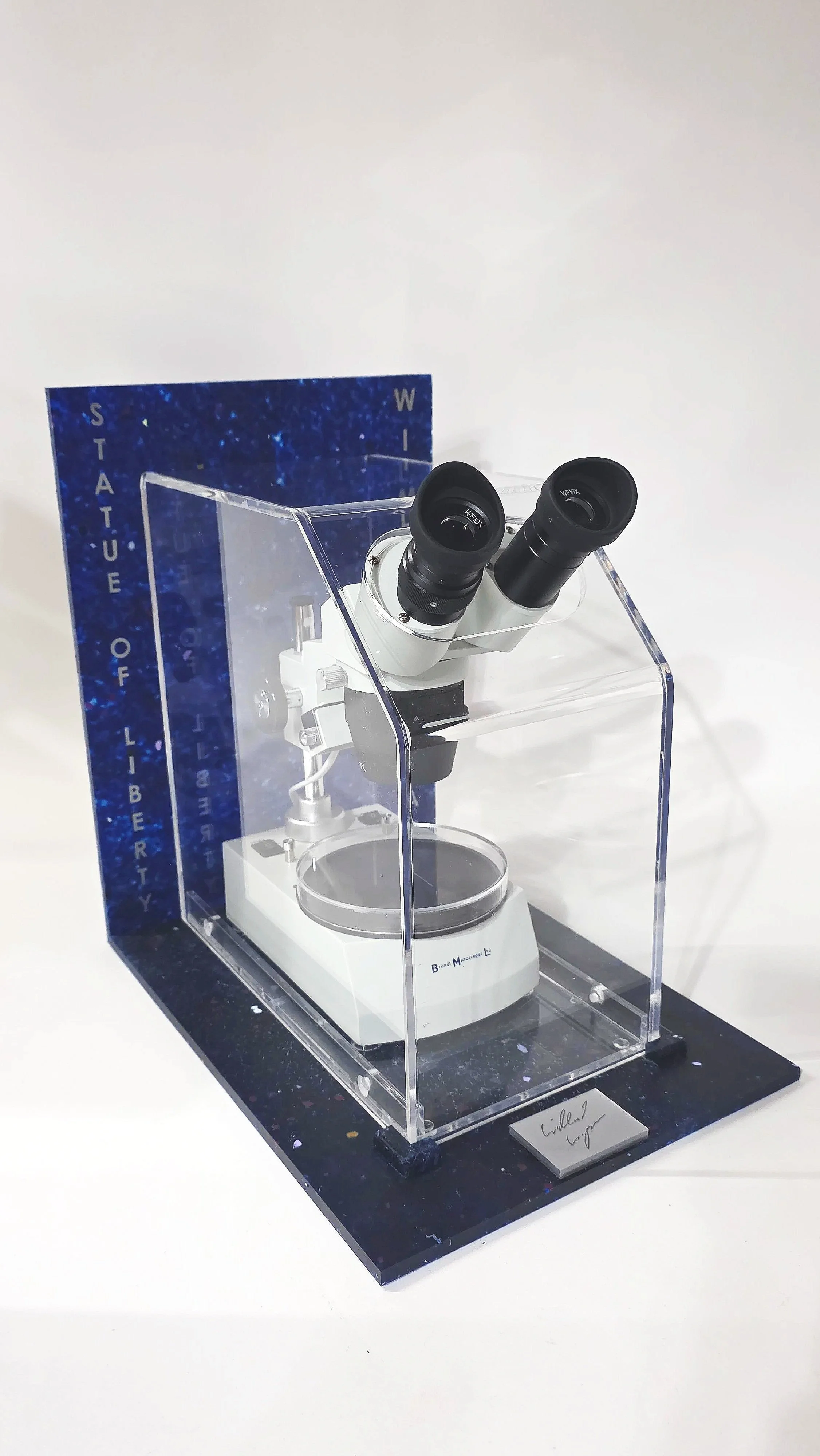 Main Hero / Display Case Image Dr Willard Wigan MBE original Statue of Liberty 22 carat gold micro sculpture in bespoke illuminated display case with integrated microscope