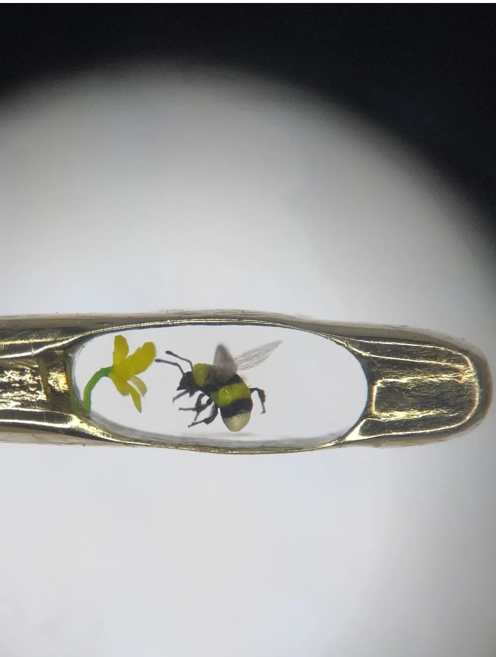 Willard Wigan MBE — Turner Fine Arts