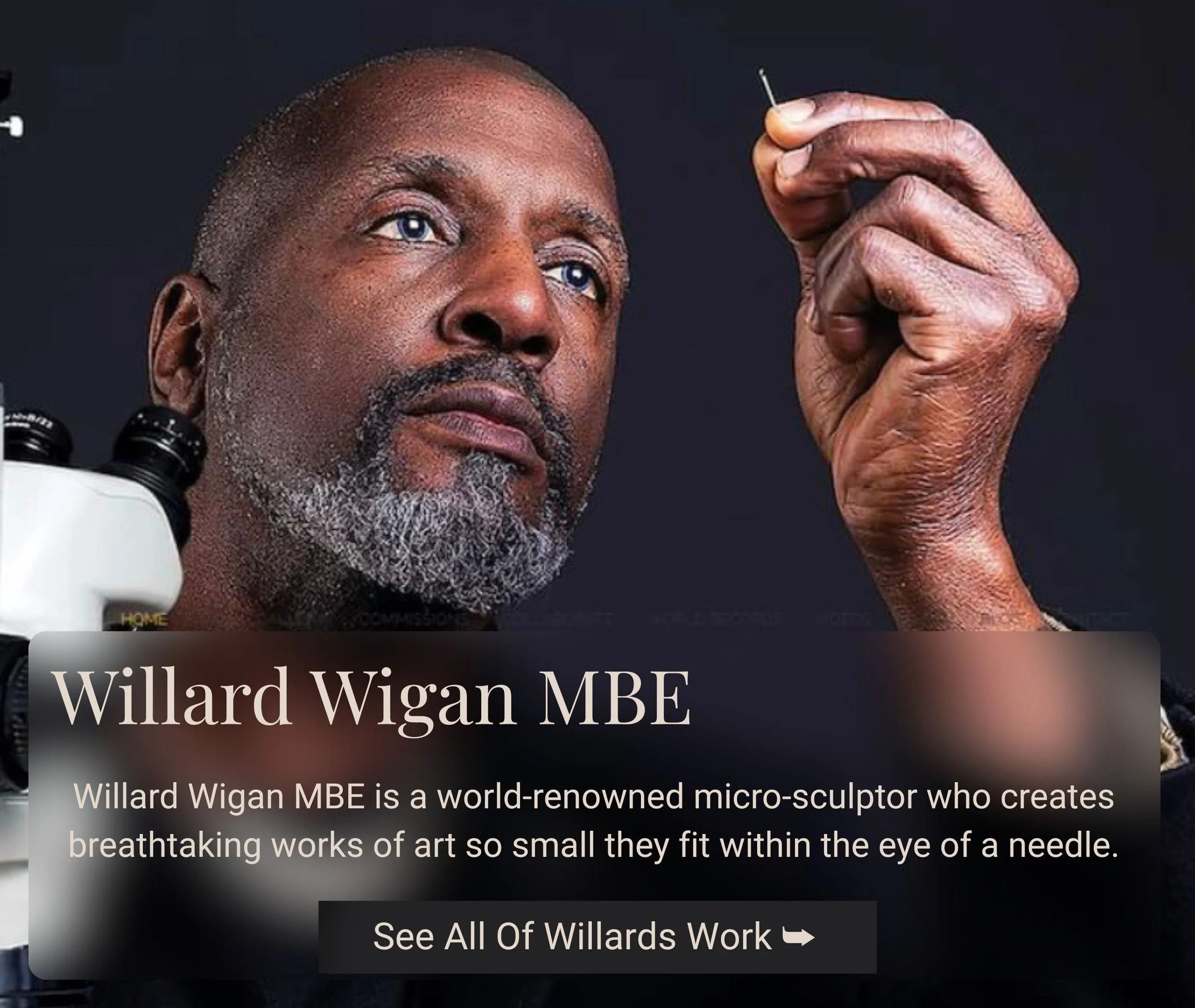 Portrait of Willard Wigan, a man with a gray beard and blue eyes, holding a tiny needle near his eye. The background is dark, and text overlays highlight his name and work as a micro-sculptor.