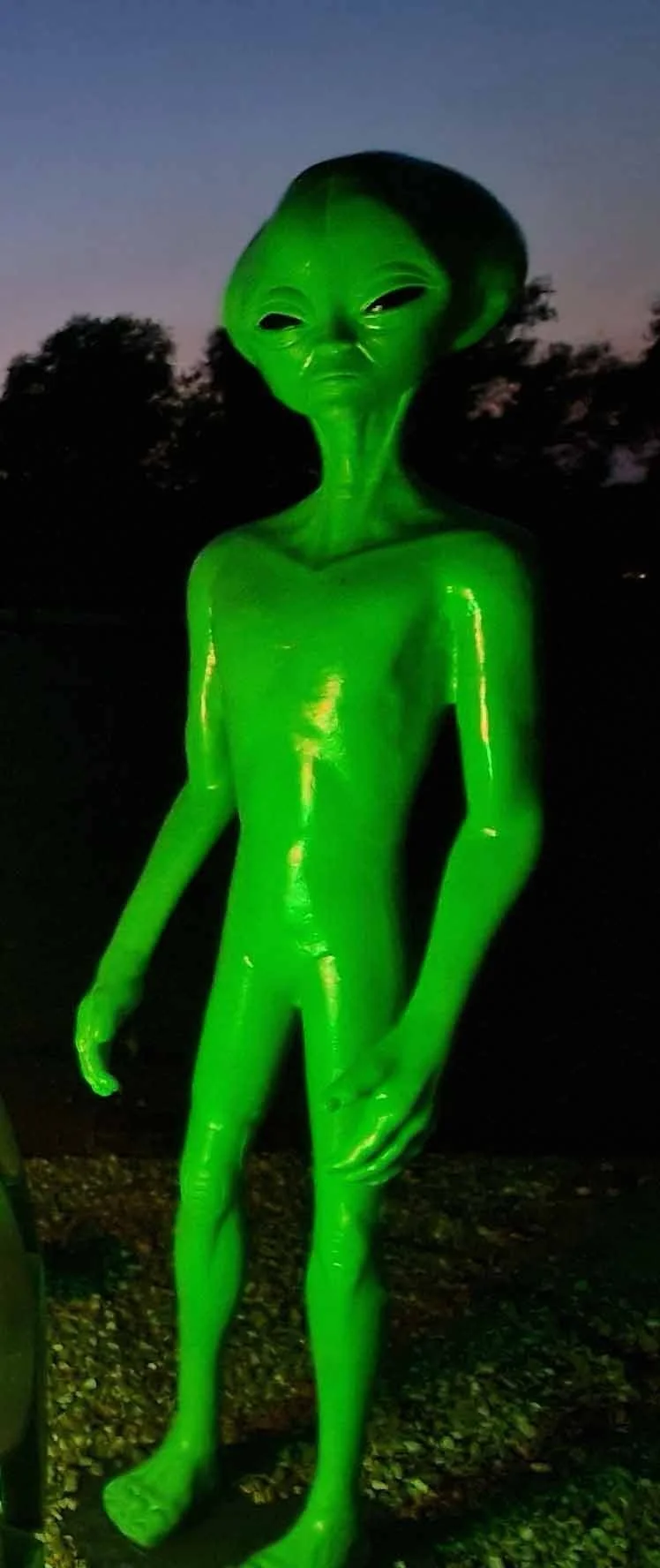 Bink green alien.jpg