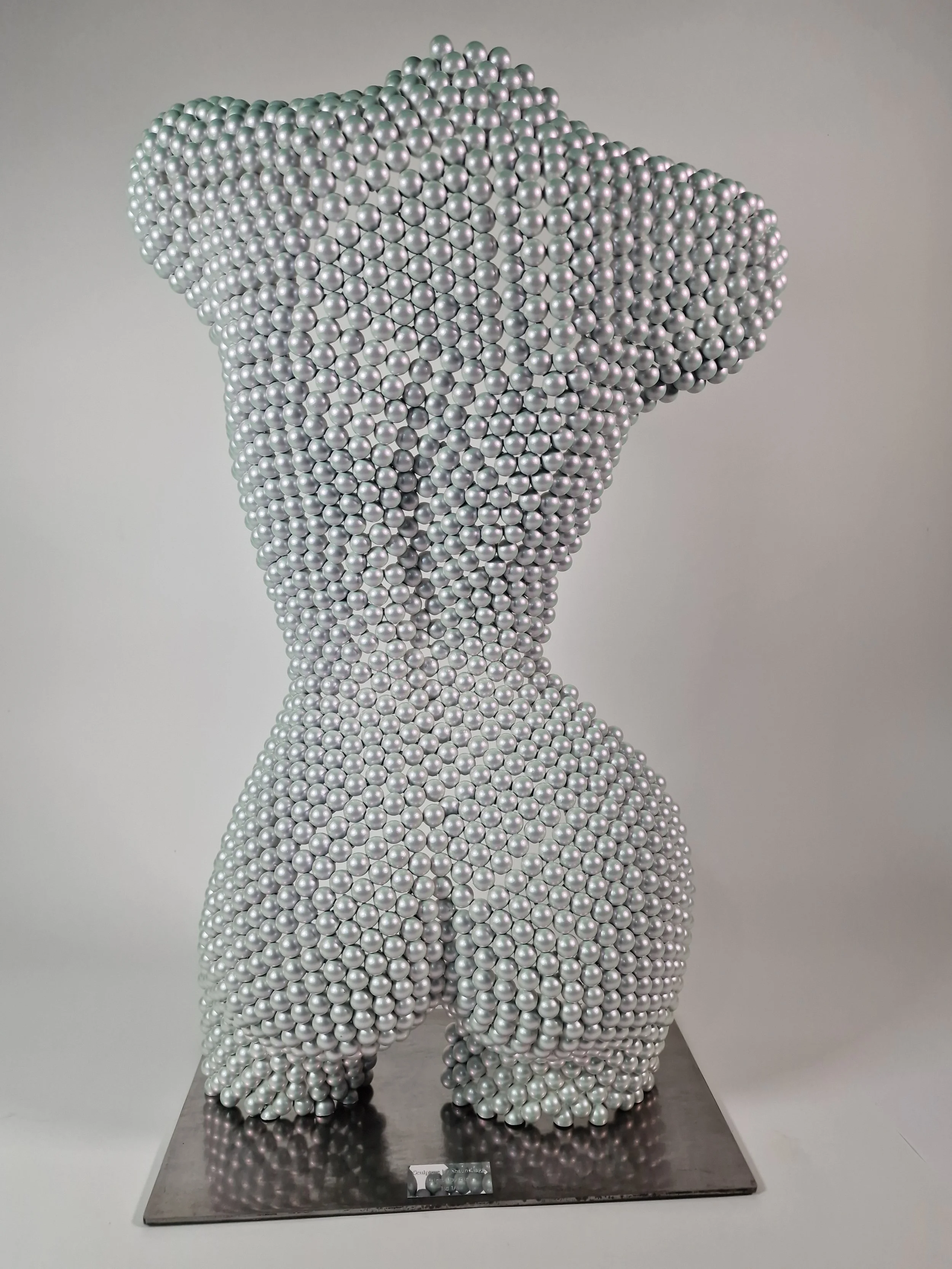 Ball-Bearing Torso (Special Edition) | Shaun Gagg