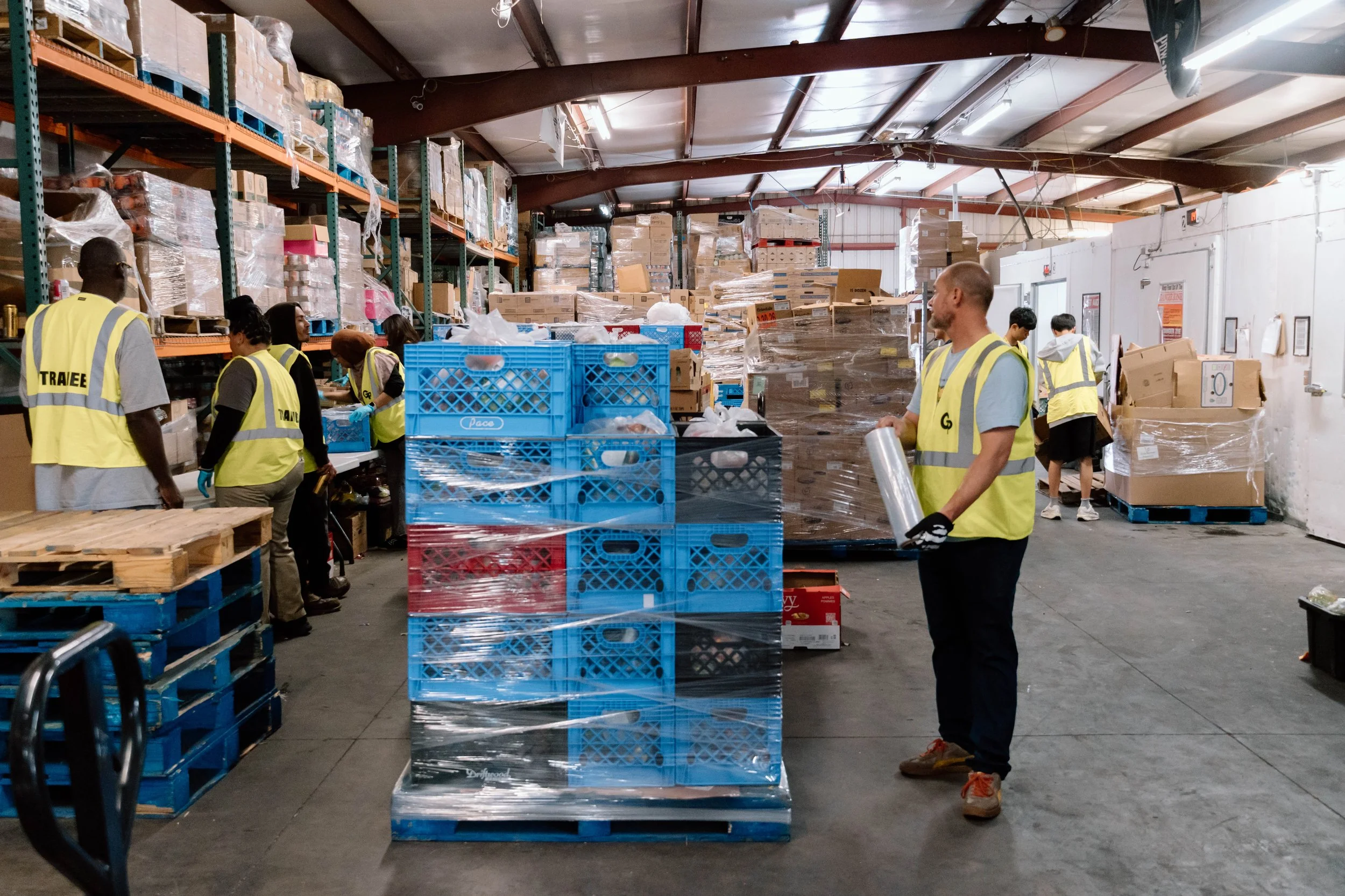 GP Trainees in Warehouse