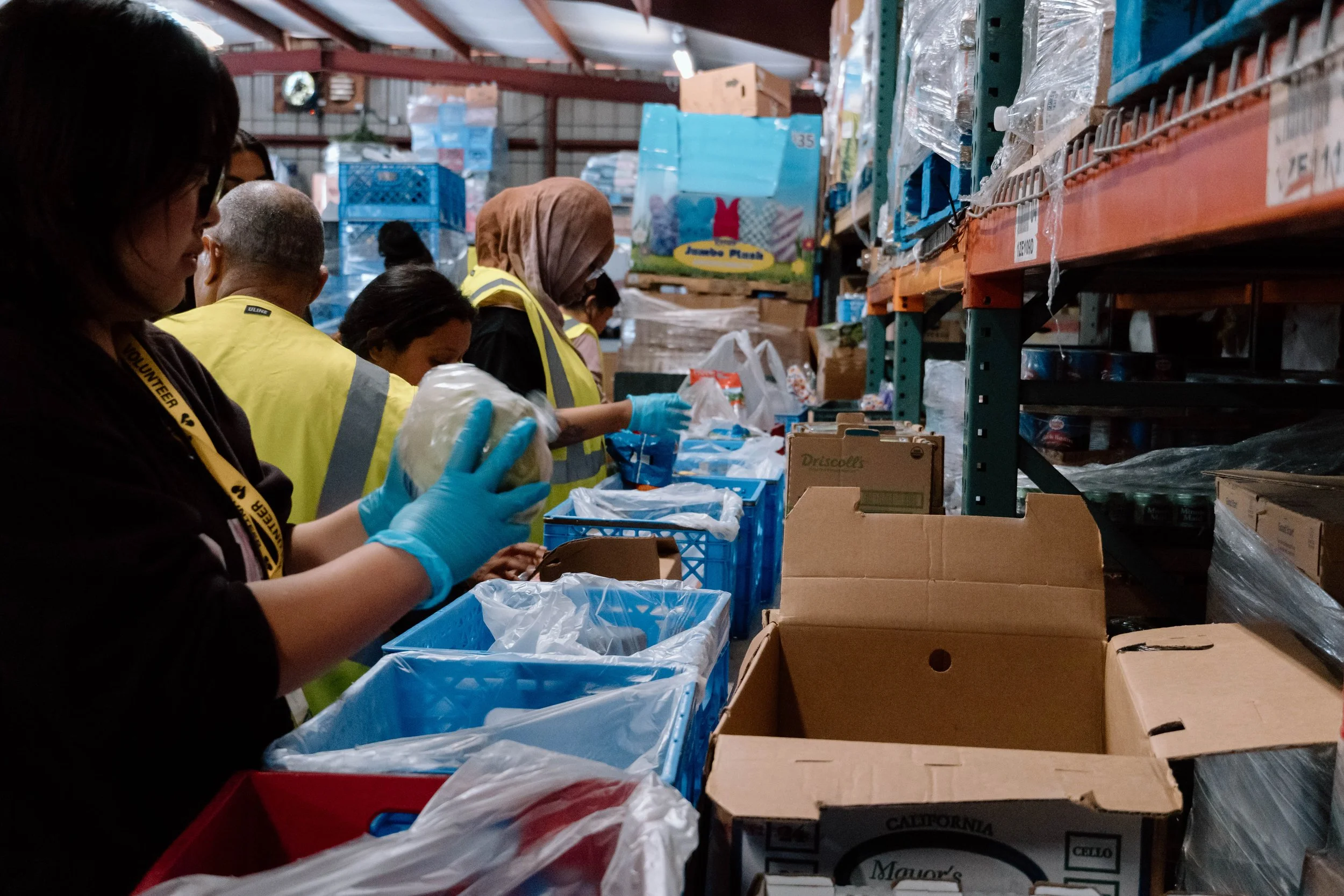 GP Trainees in Warehouse