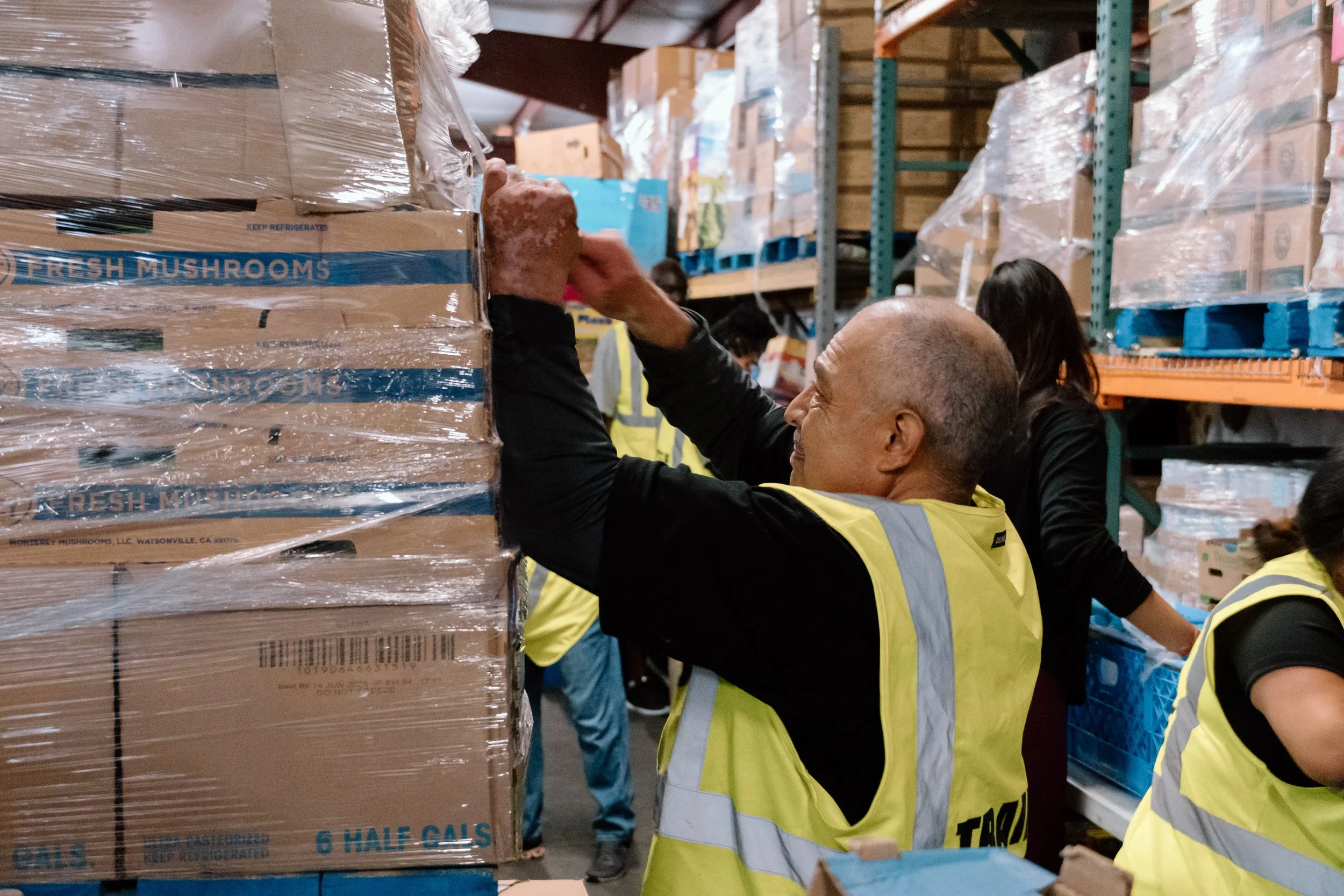 GP Trainees in Warehouse