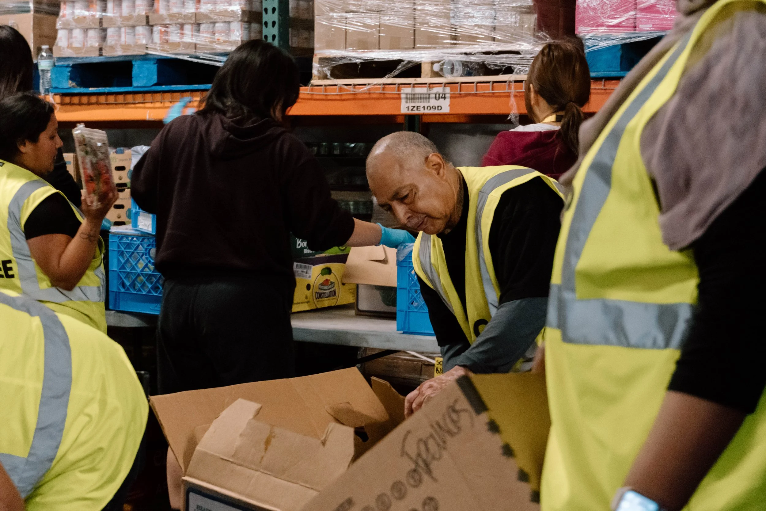 GP Trainees in Warehouse