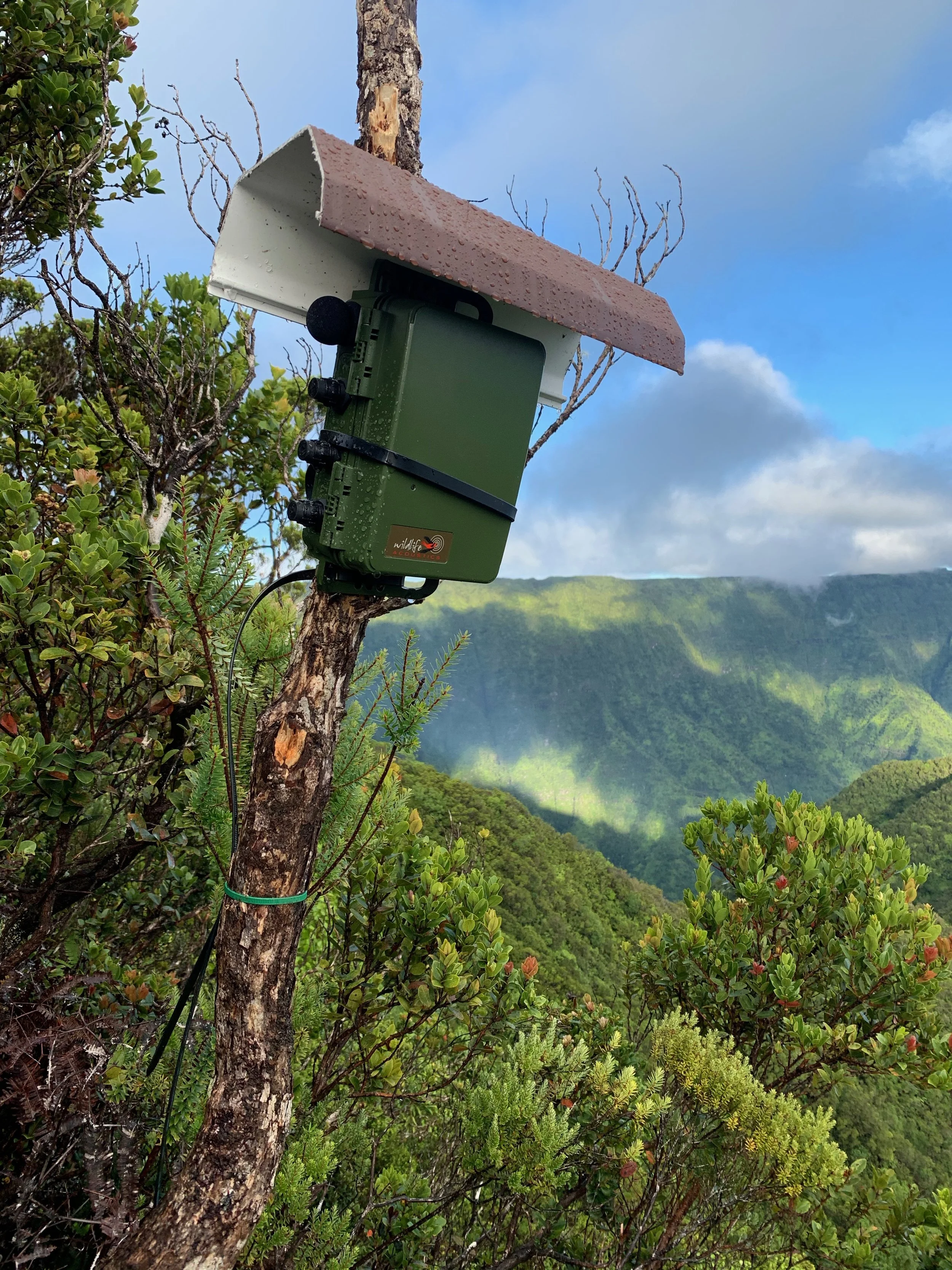 Kōke‘e Air Force Station Monitoring
