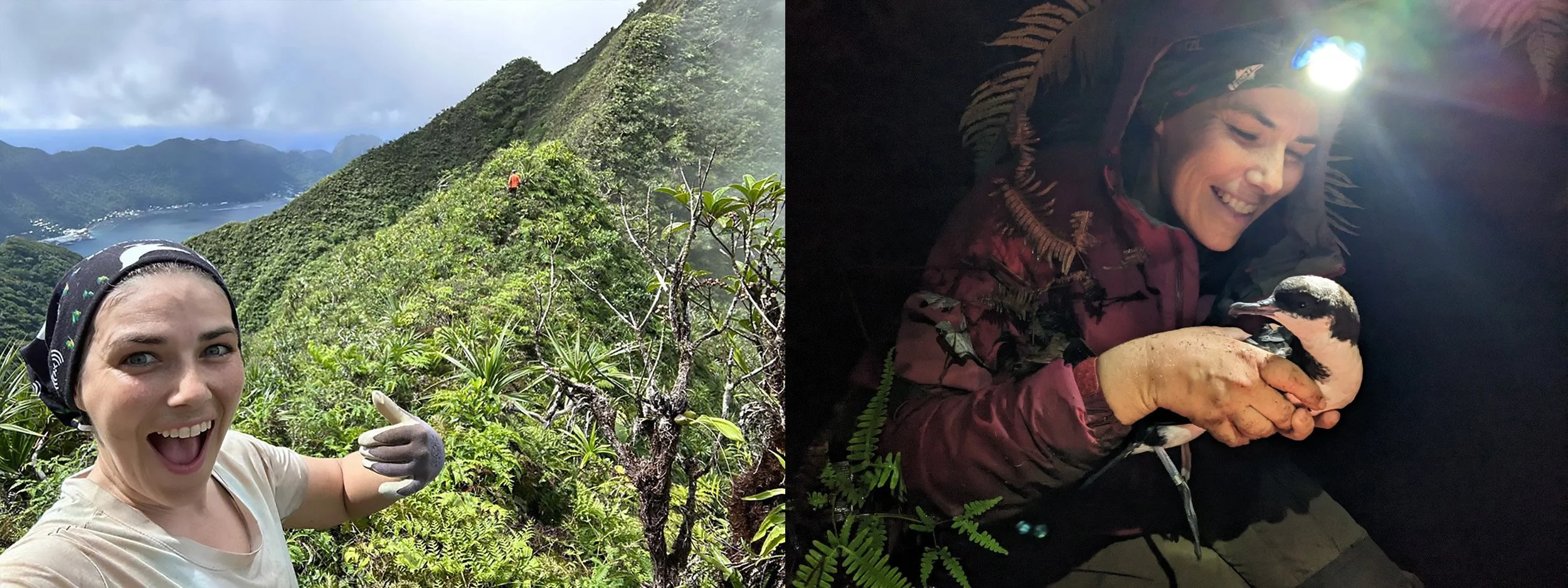 JENNIFER ROTHE – FIELDCREW LEAD – COLONY MONITORING — Archipelago ...