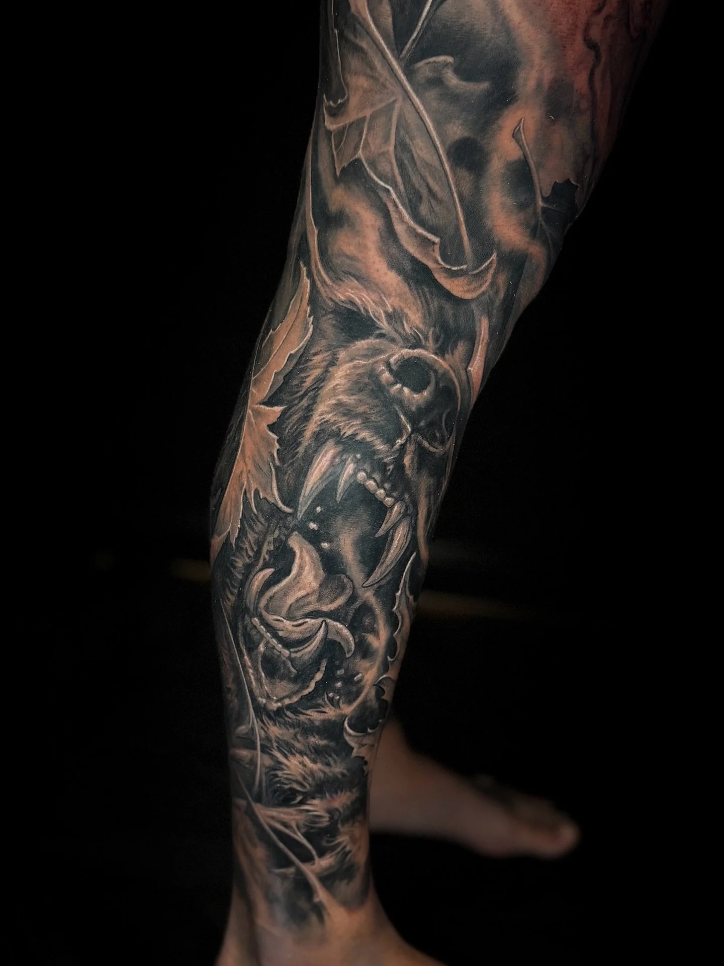 Completed over 3 days at the amazing @sydneytattooconvention 

Got photos of this all healed up whilst we work on the inside.

@lighthouse_tattoo 
@lotusneedles 
@australiantattooistsguild 

#beartattoo #conventiontattoo #sydneytattooconvention #griz