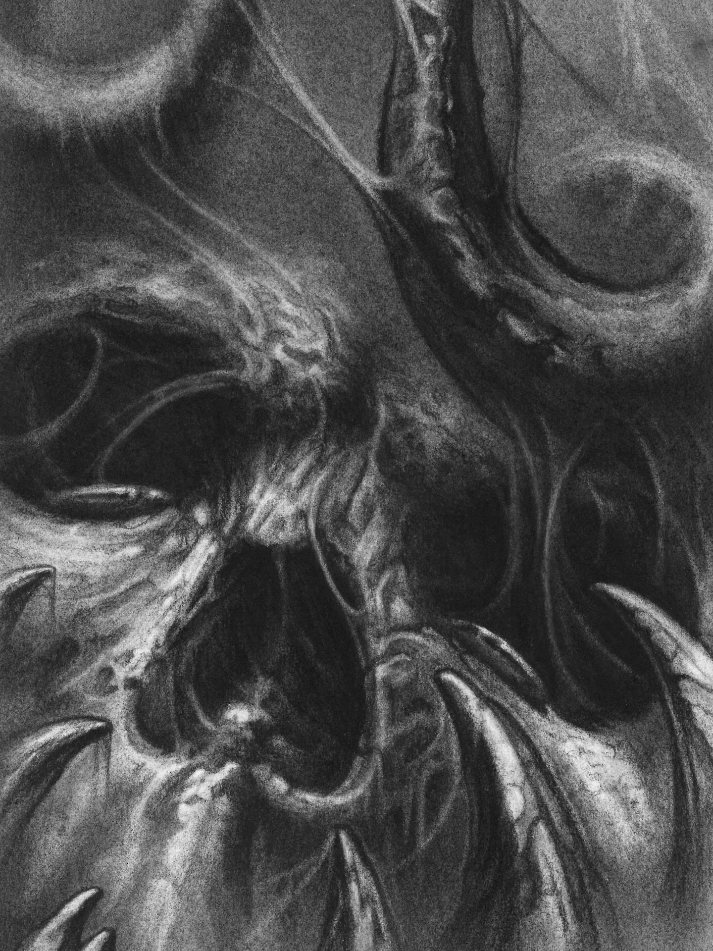 I still have some prints available if you&rsquo;d like to get some before Christmas! 

The first 4 are A4 size, $50 each + postage, or $160 for the set of 4.

The last is A2 size and is $100 + postage.

See my highlight story of PRINTS or DM me for m