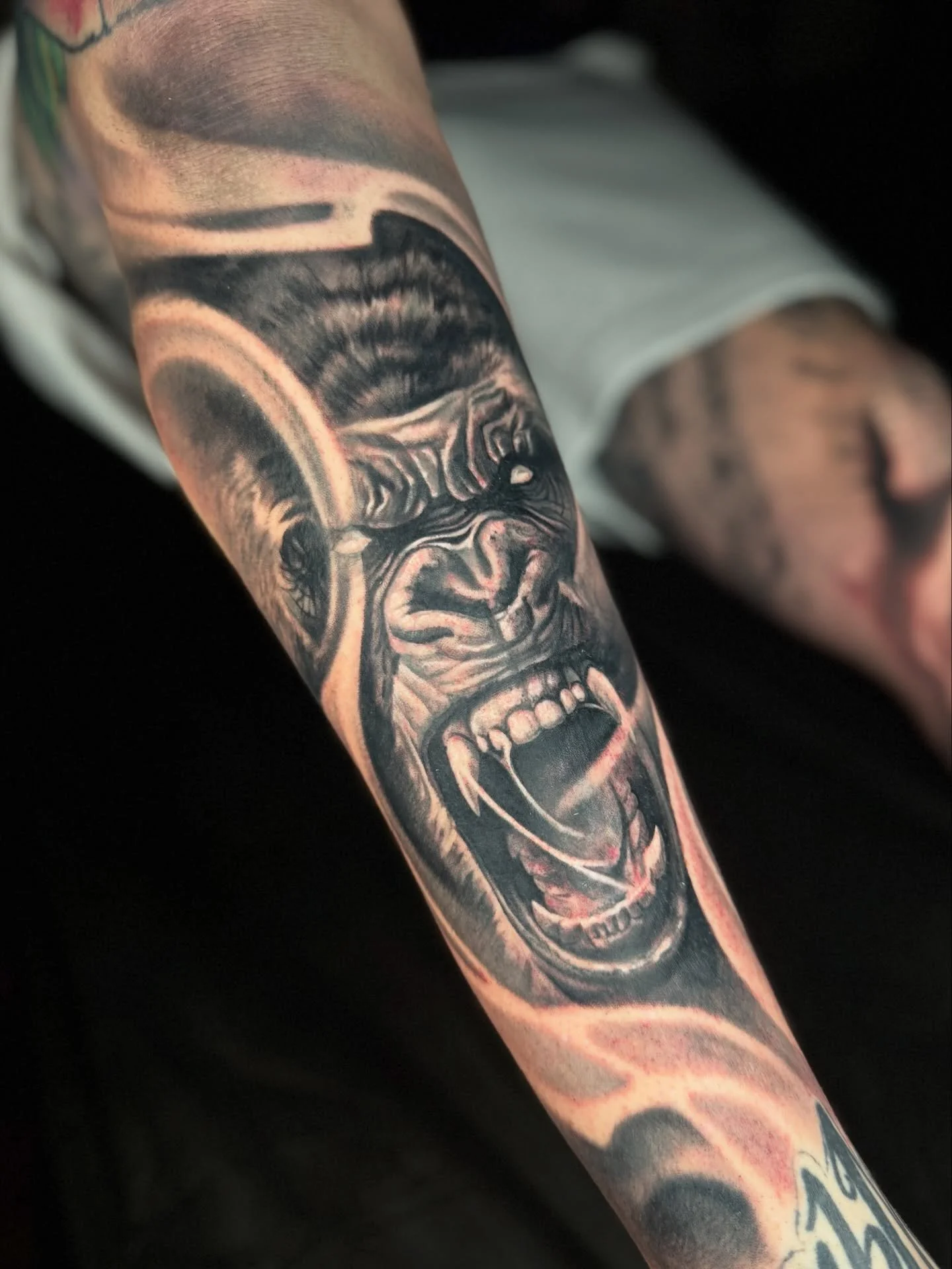 Huge one shot gorilla from my time up in Brisbane with the crew at @savepoint_tattoo 

📚Booking Brisbane for July onwards! Dm me to discuss your ideas 

Thank you Luke for sitting tough and letting us get through this! Can&rsquo;t wait for next time
